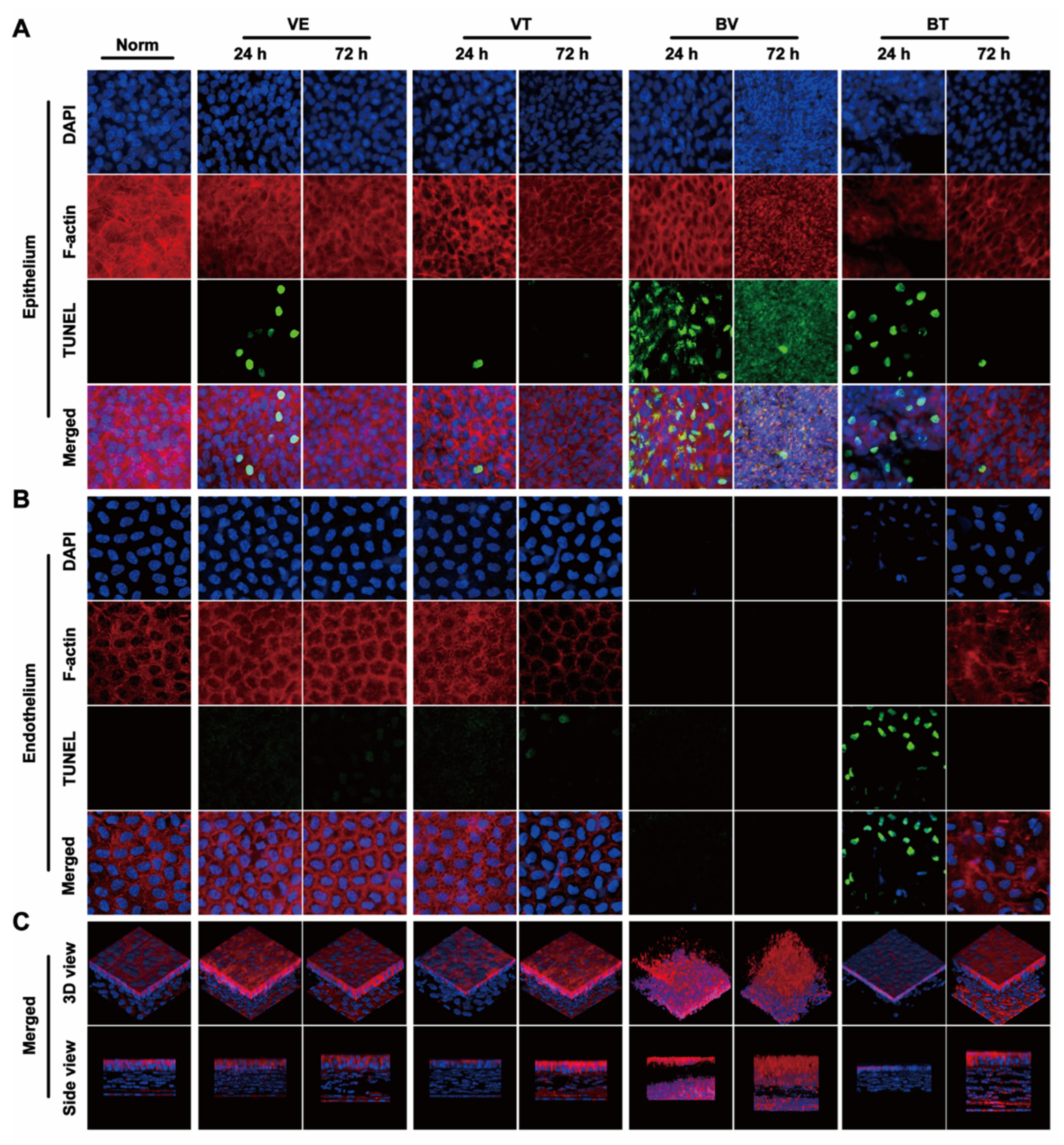 Toxins 14 00468 g003