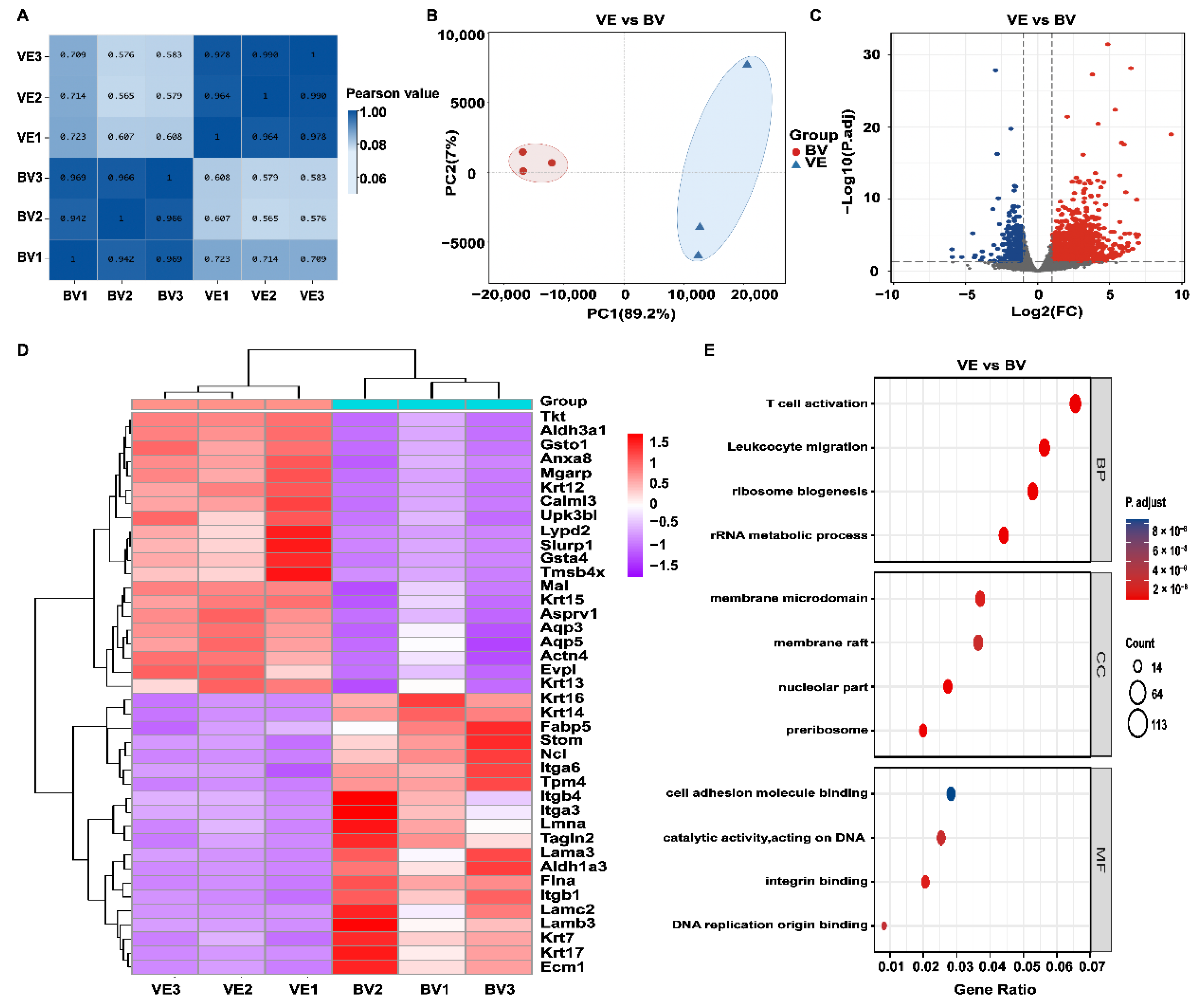 Toxins 14 00468 g004