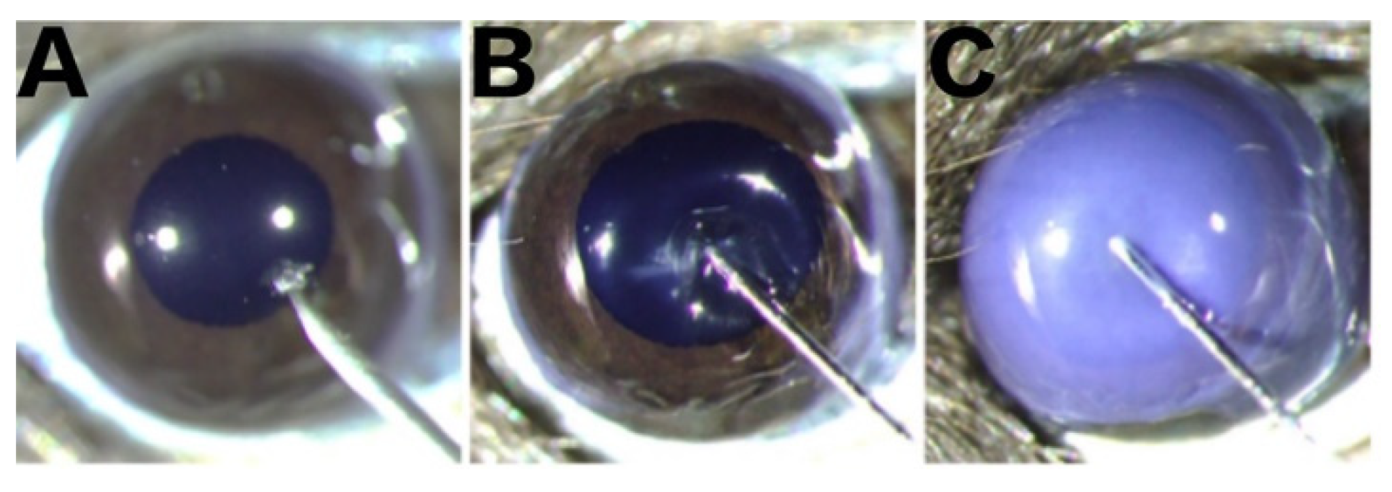 Toxins 14 00468 g008