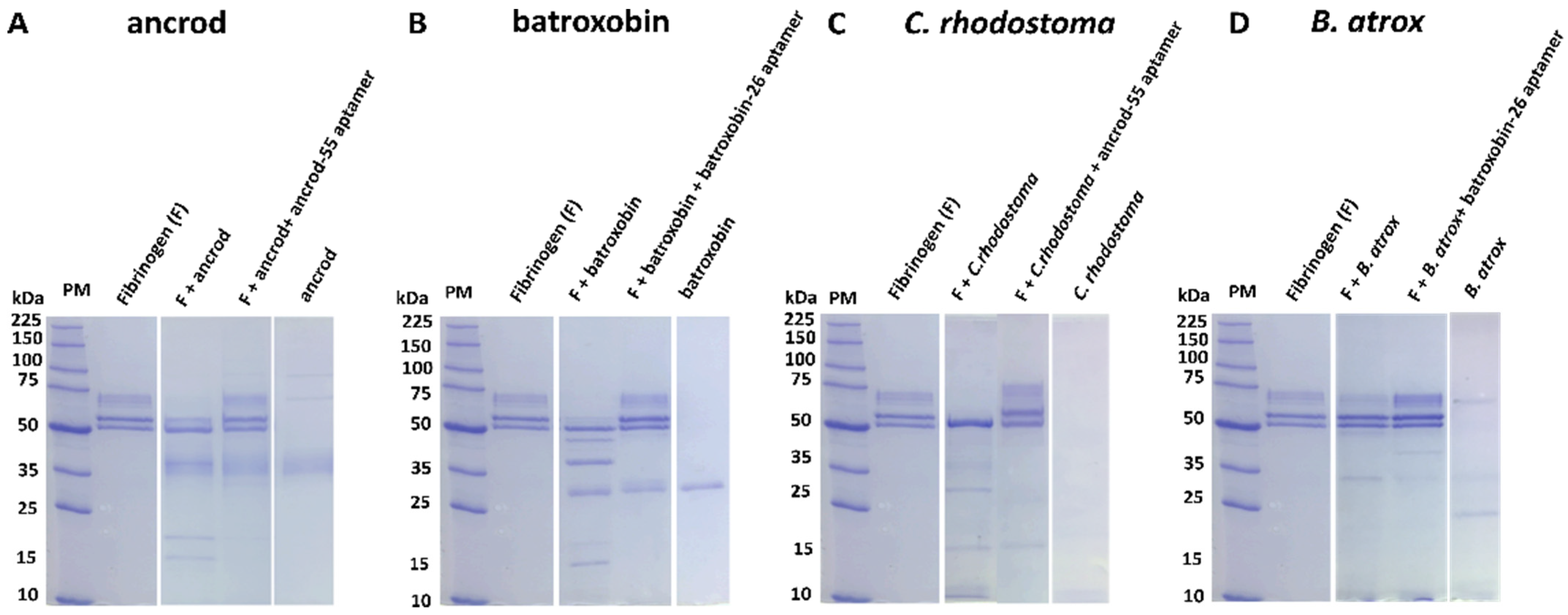 Toxins 14 00469 g004