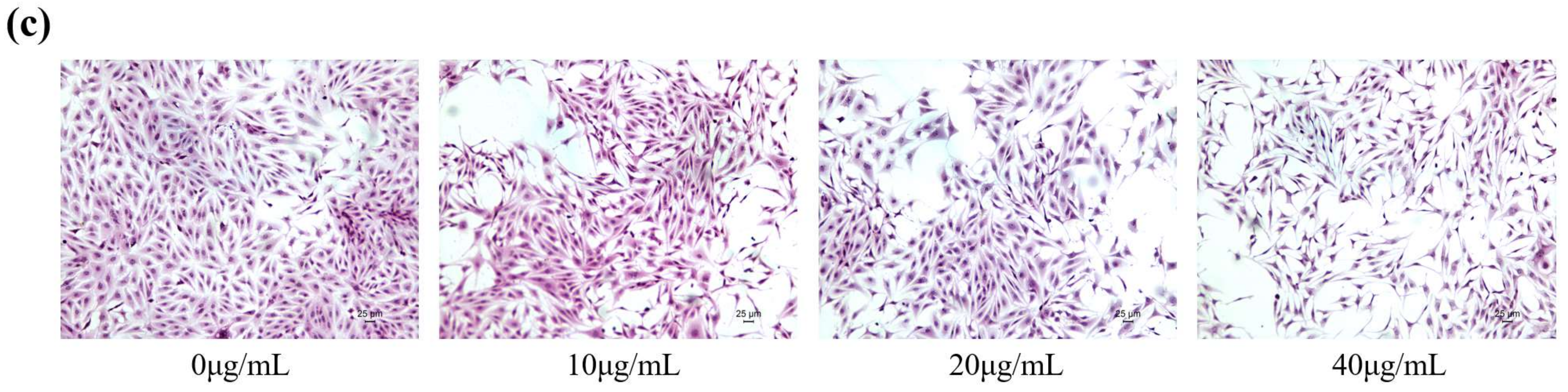 Toxins 14 00471 g001b 550