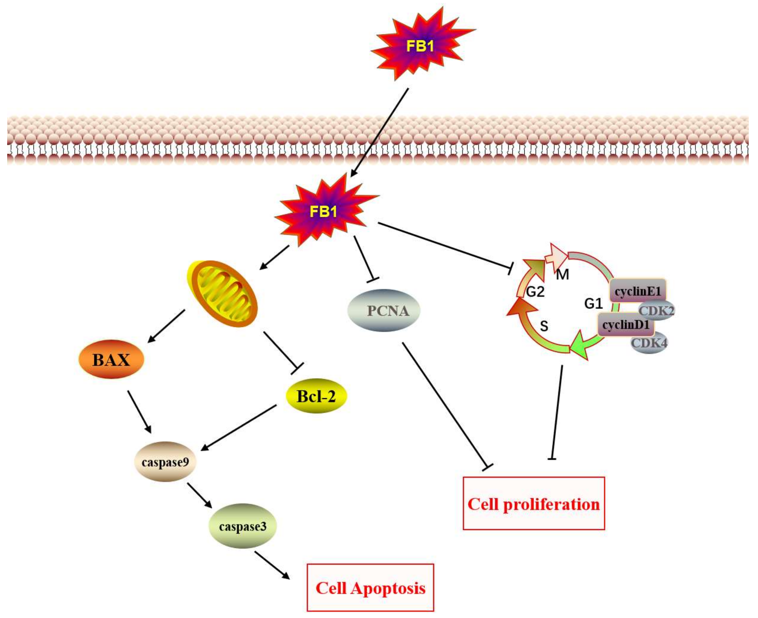 Toxins 14 00471 g004 550