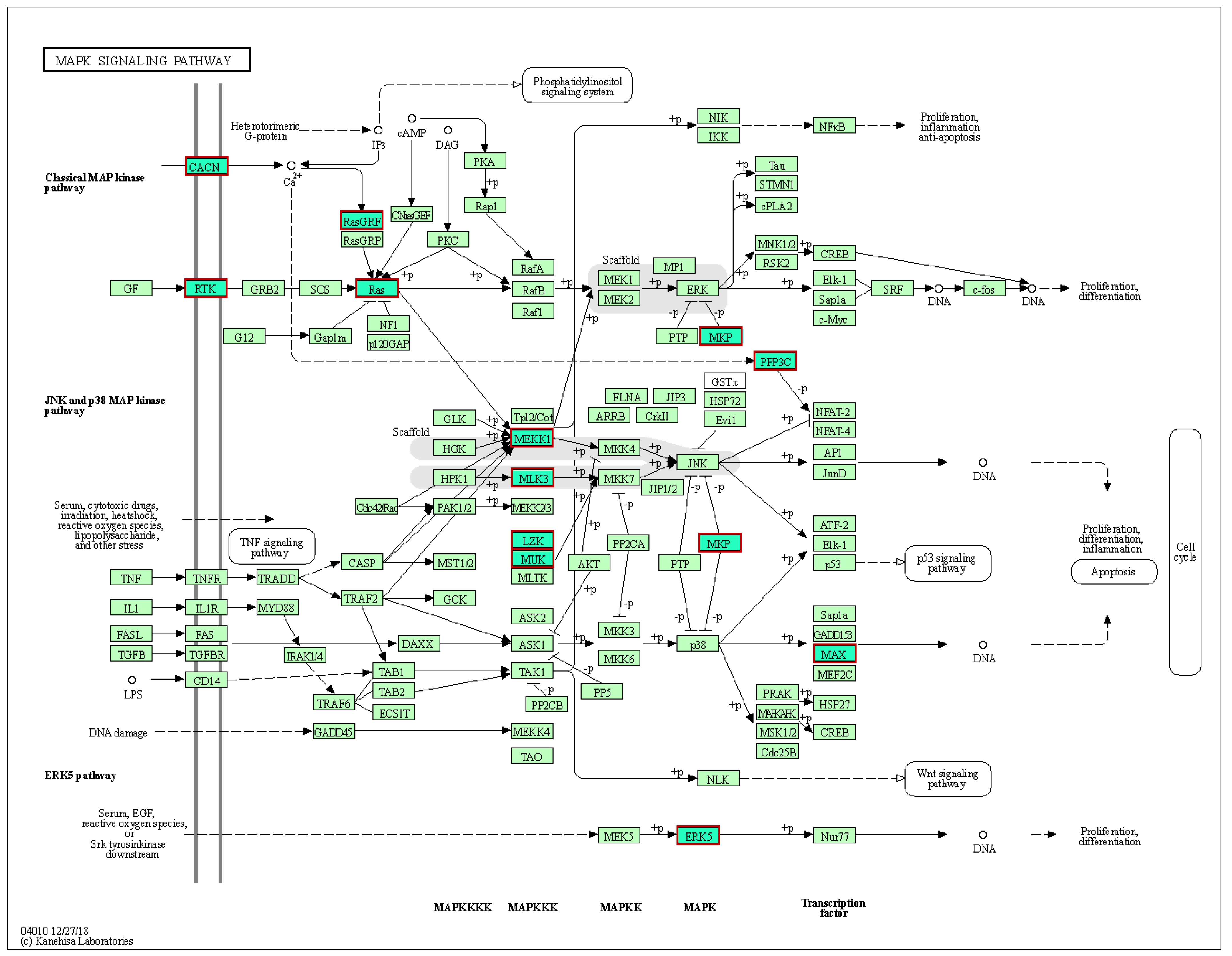 Toxins 14 00472 g007