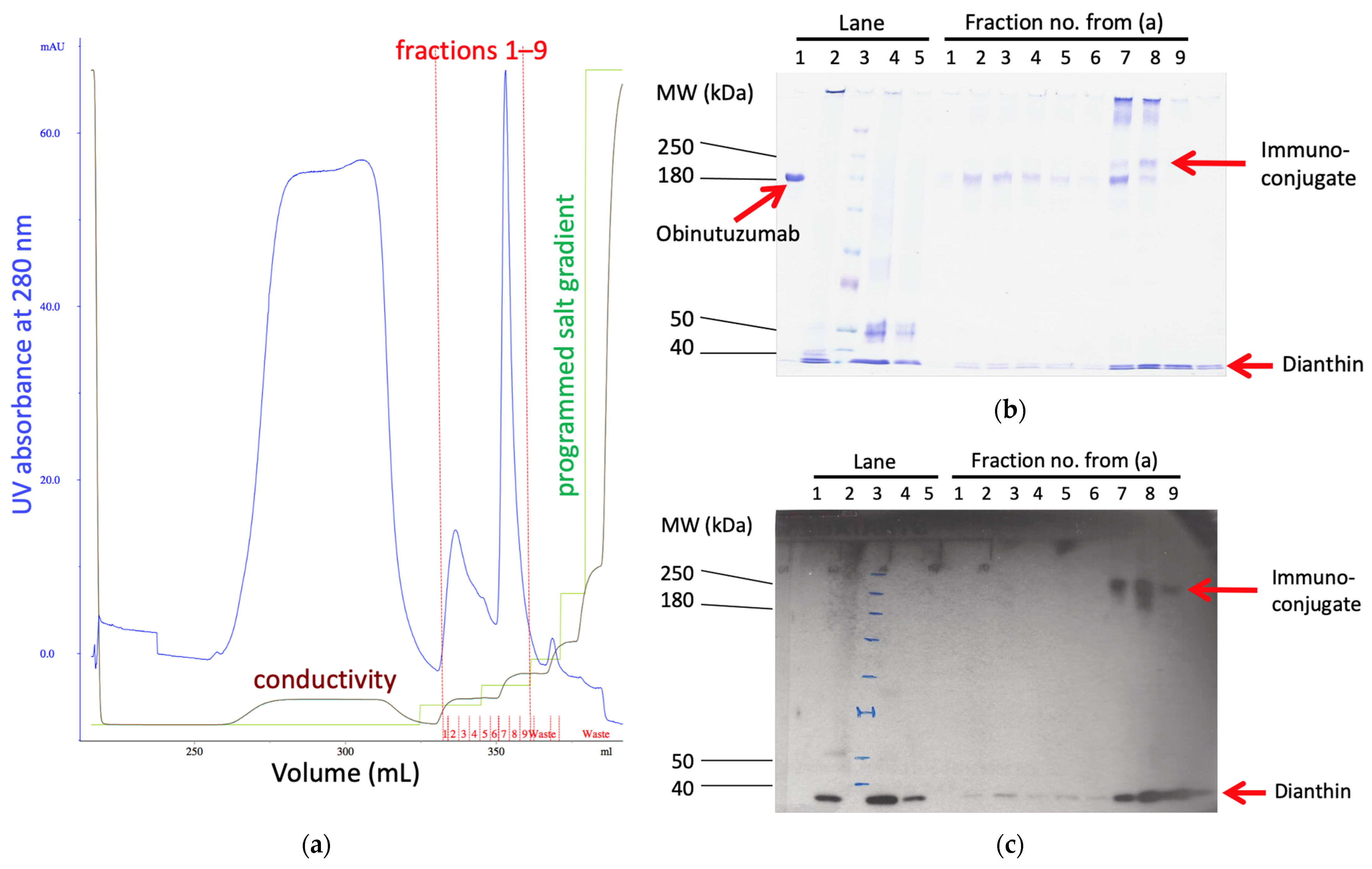 Toxins 14 00478 g001 Toxins 14 00478 g001
