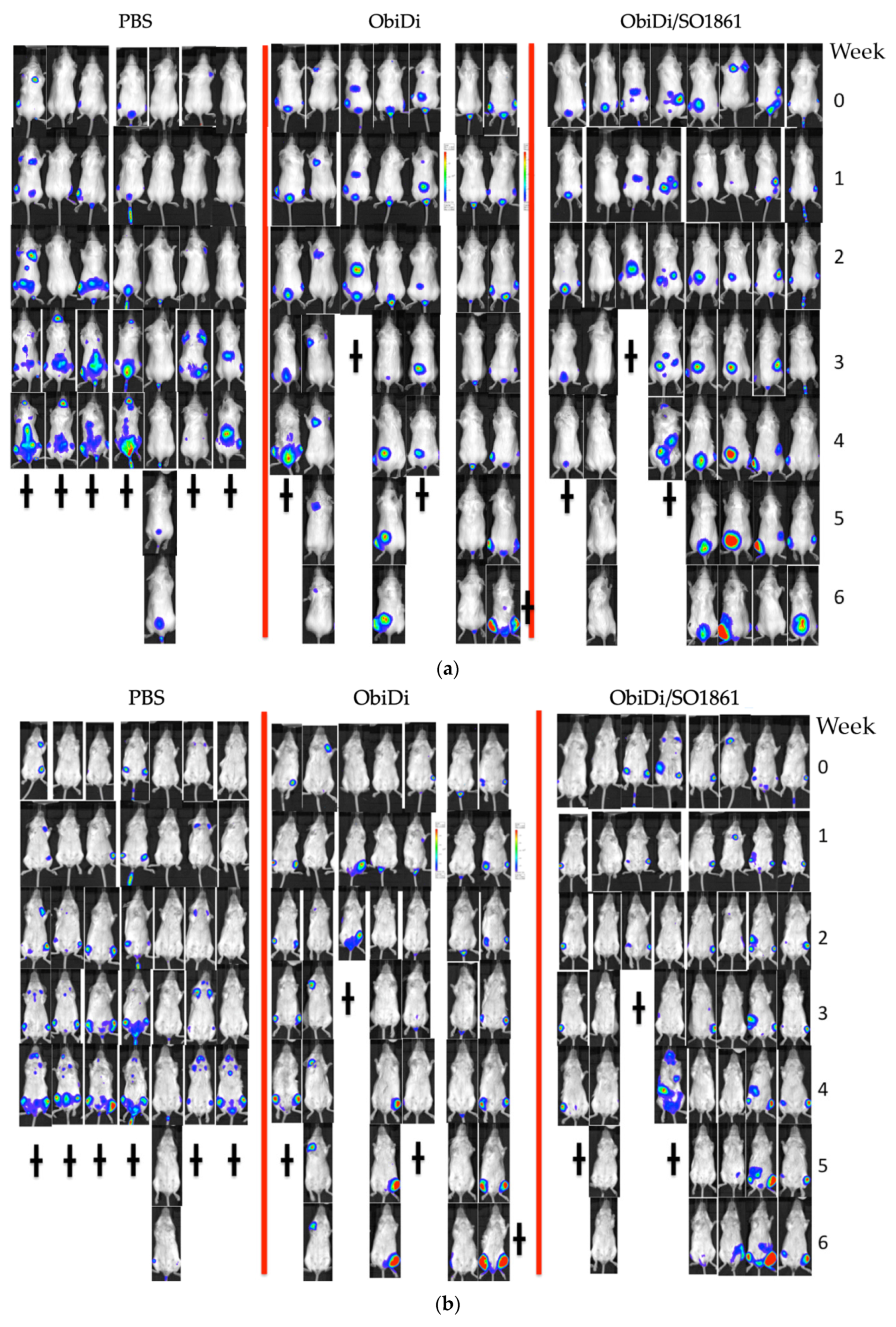 Toxins 14 00478 g005a Toxins 14 00478 g005a