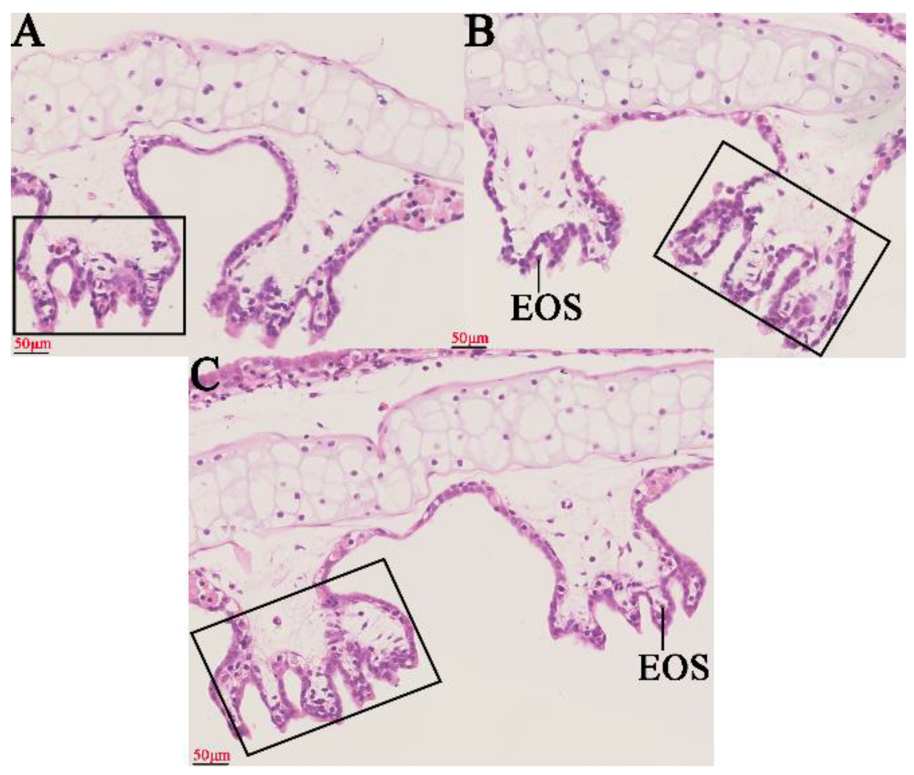 Toxins 14 00479 g001