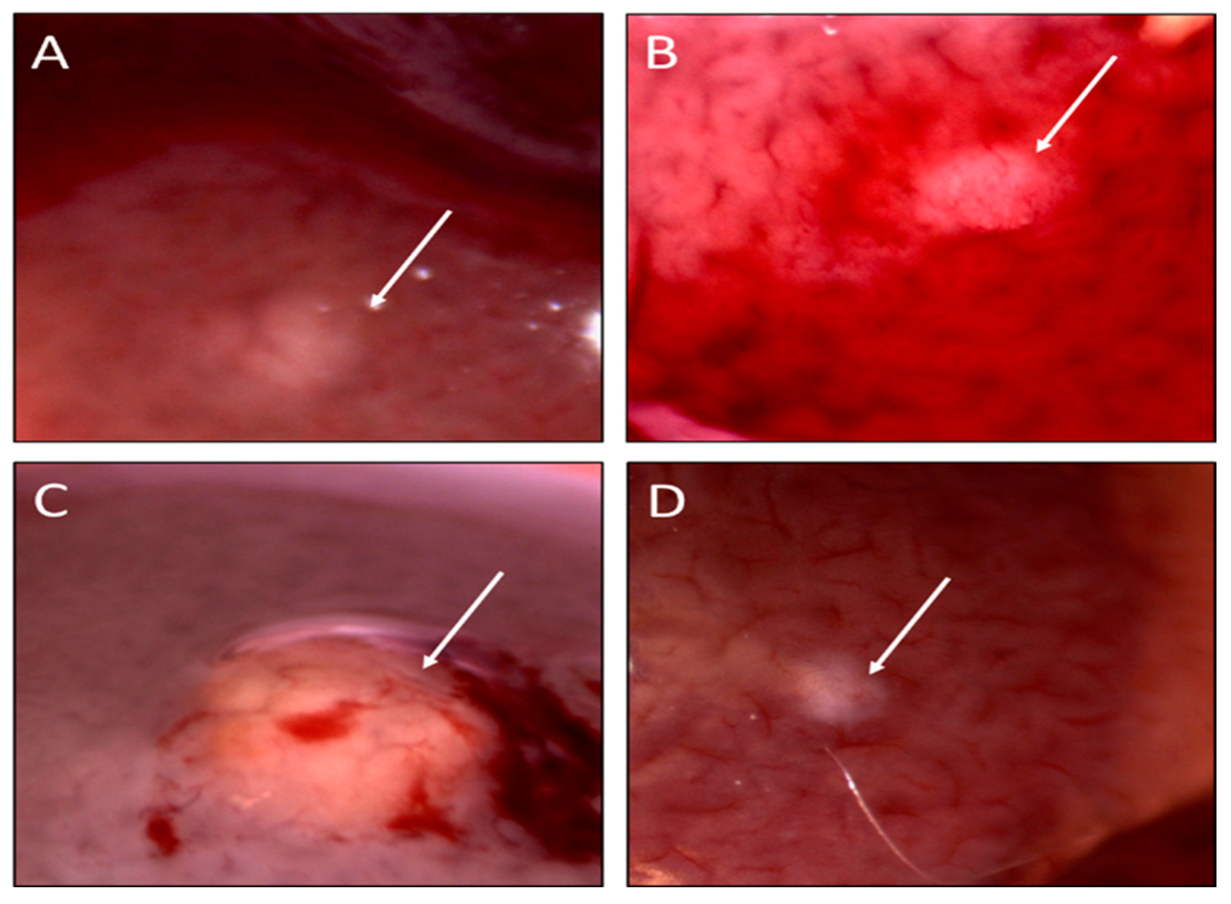 Toxins 14 00484 g002 550