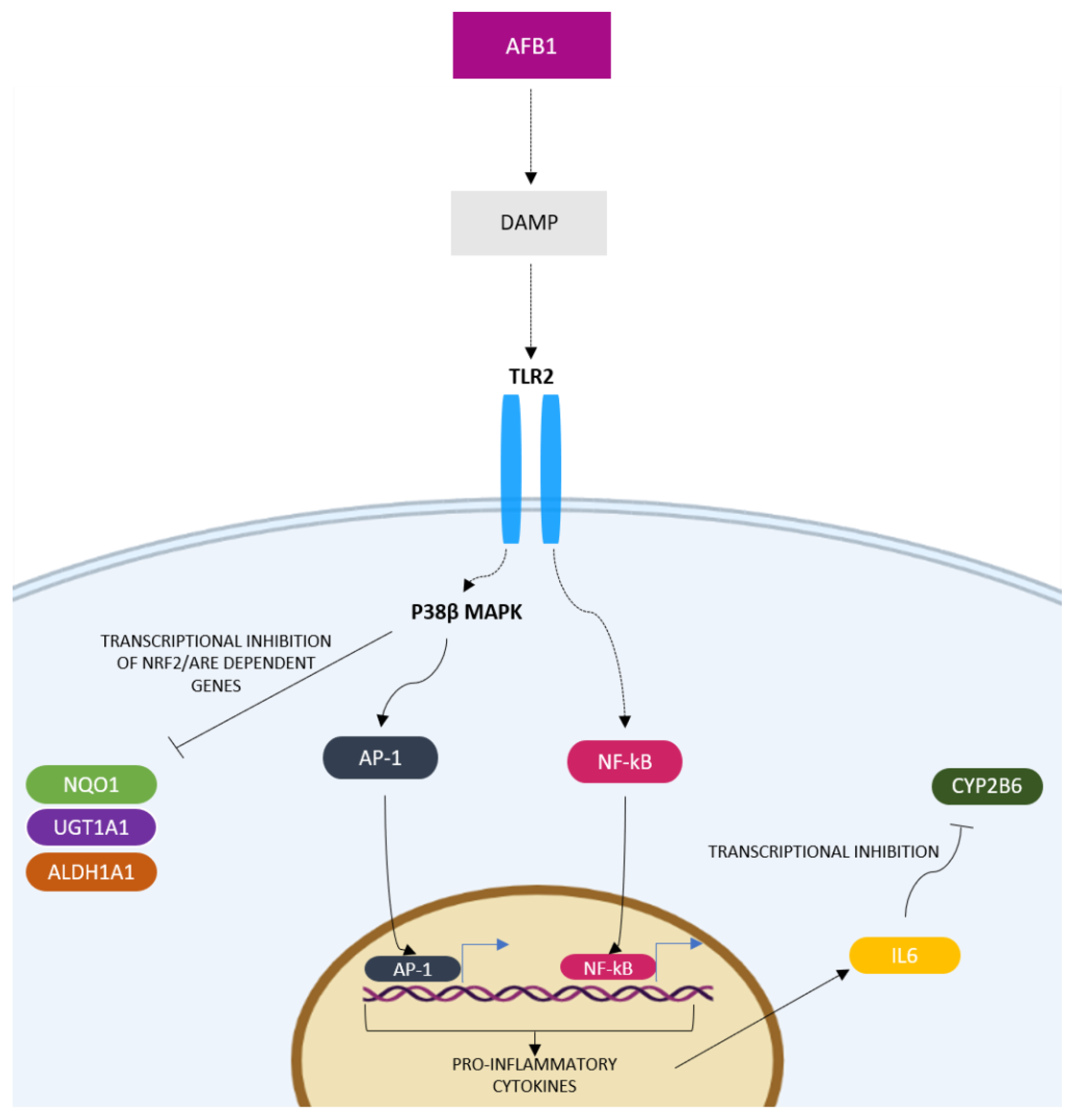 Toxins 14 00504 g012 Toxins 14 00504 g012