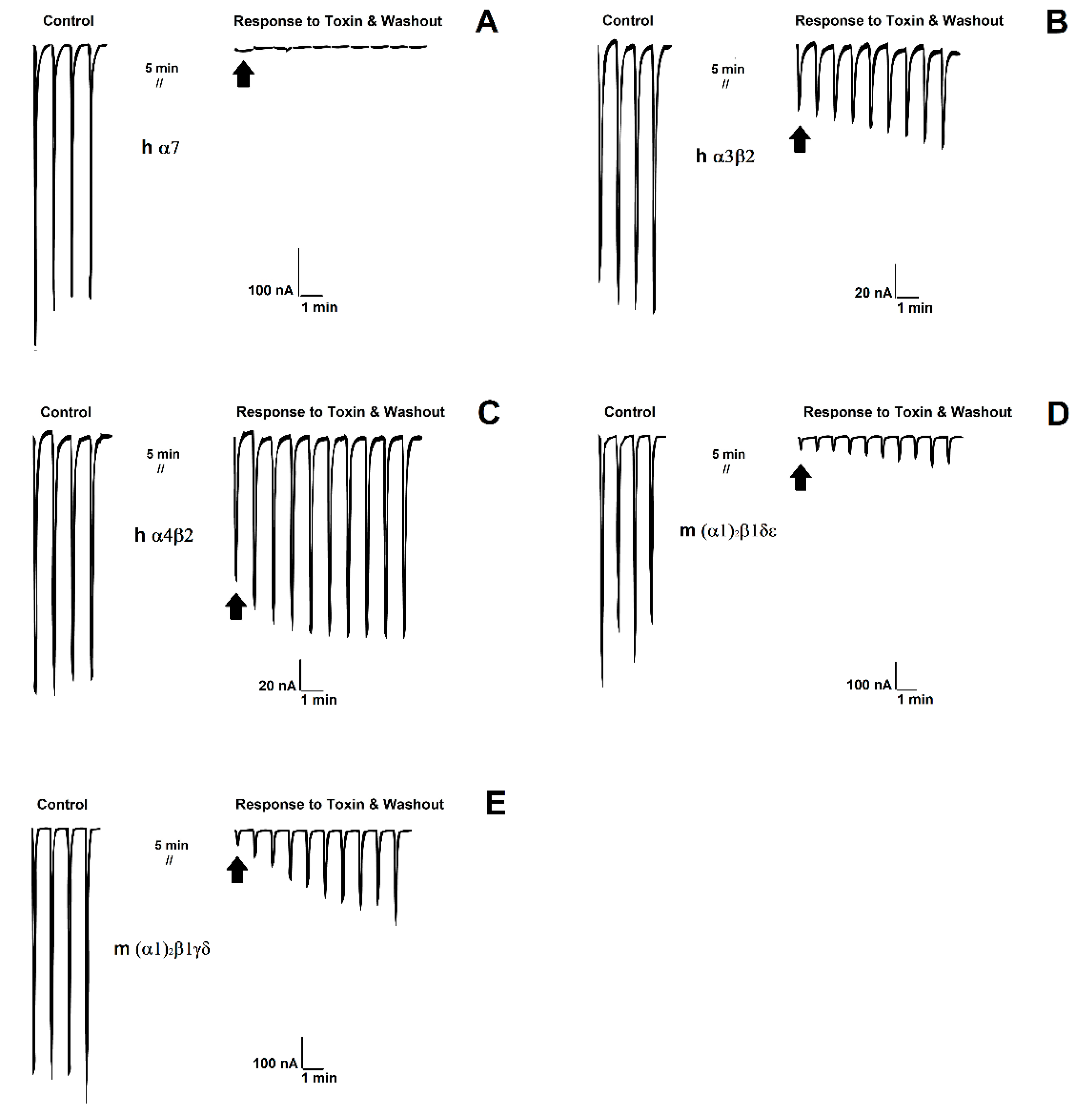 Toxins 14 00510 g006 550