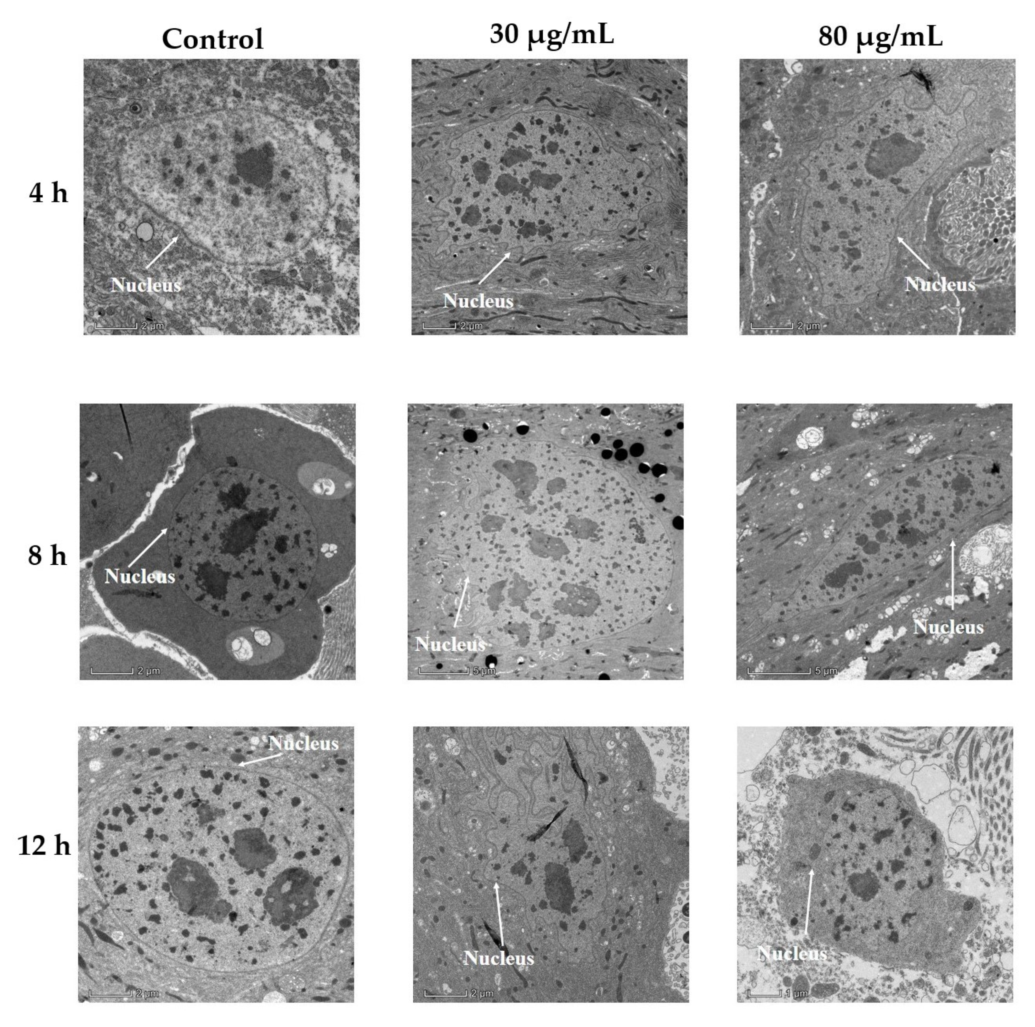 Toxins 14 00514 g002