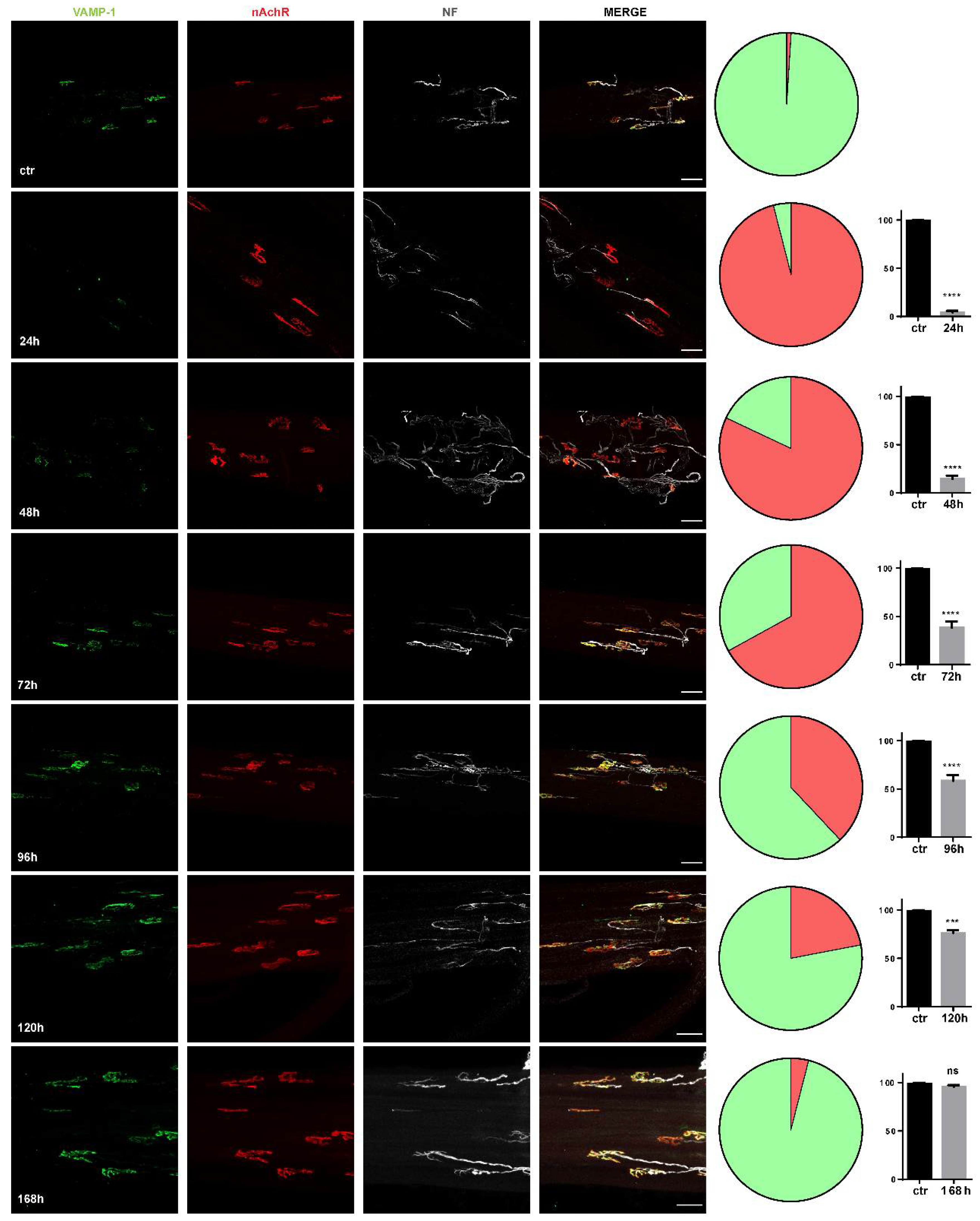 Toxins 14 00531 g001