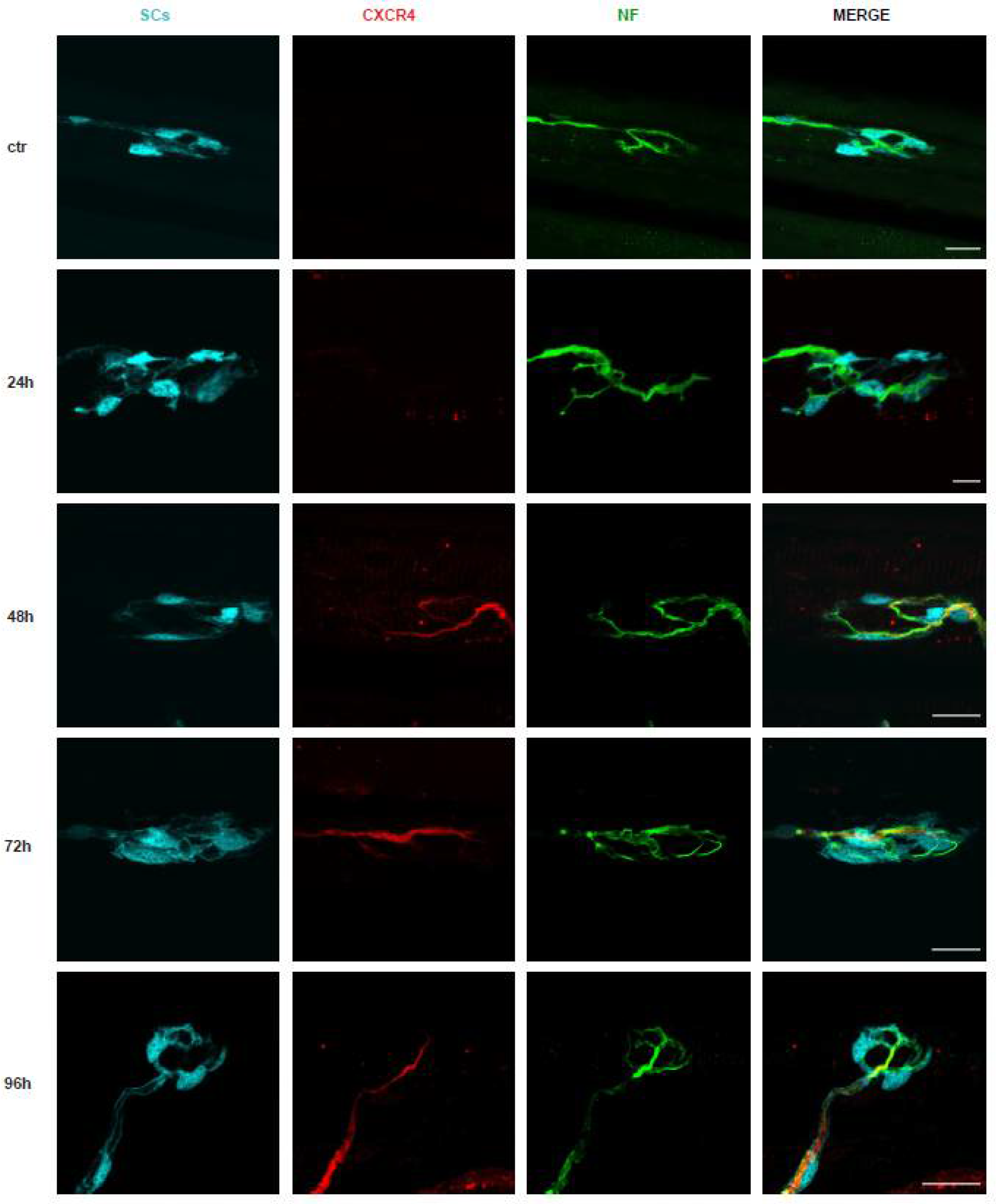 Toxins 14 00531 g002