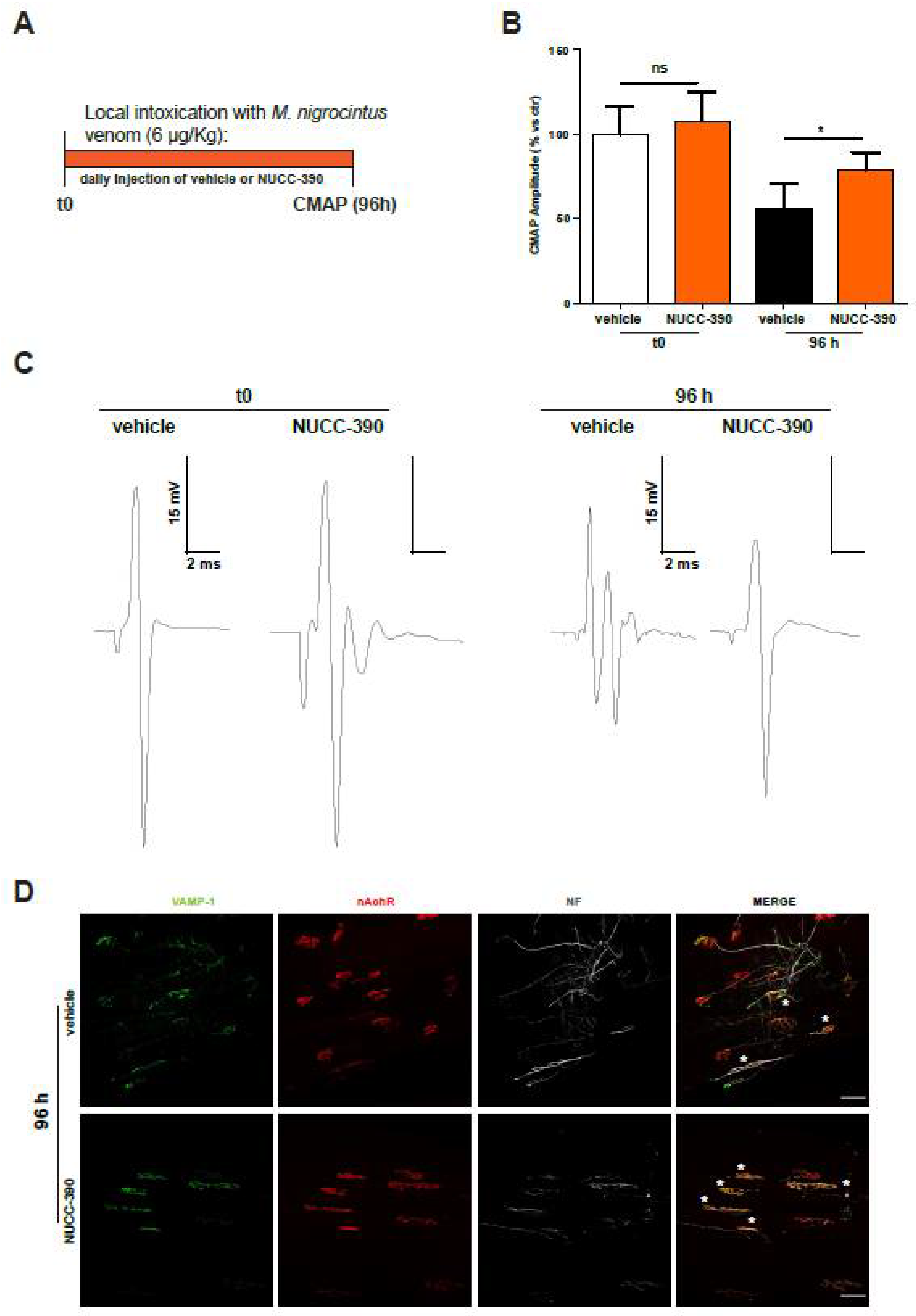 Toxins 14 00531 g004