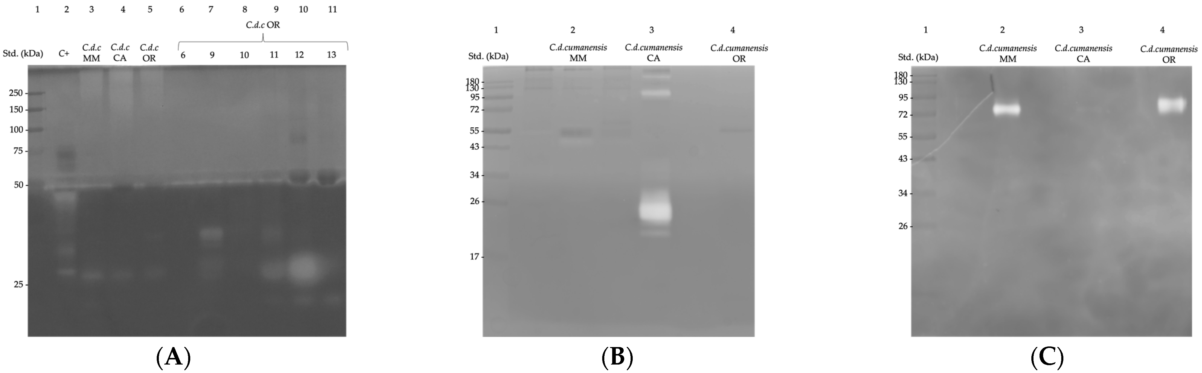 Toxins 14 00532 g003