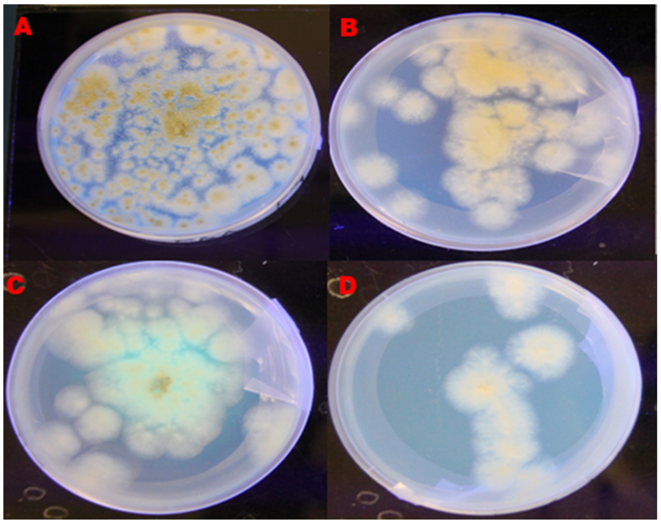 Toxins 14 00536 g001 550