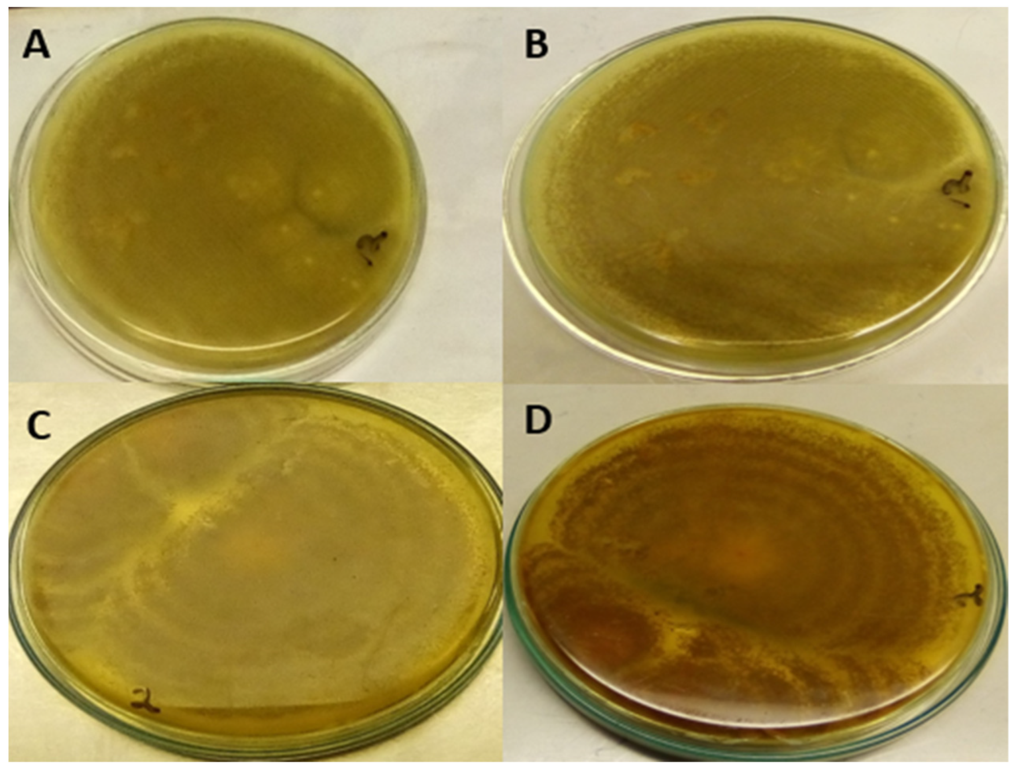Toxins 14 00536 g002 550