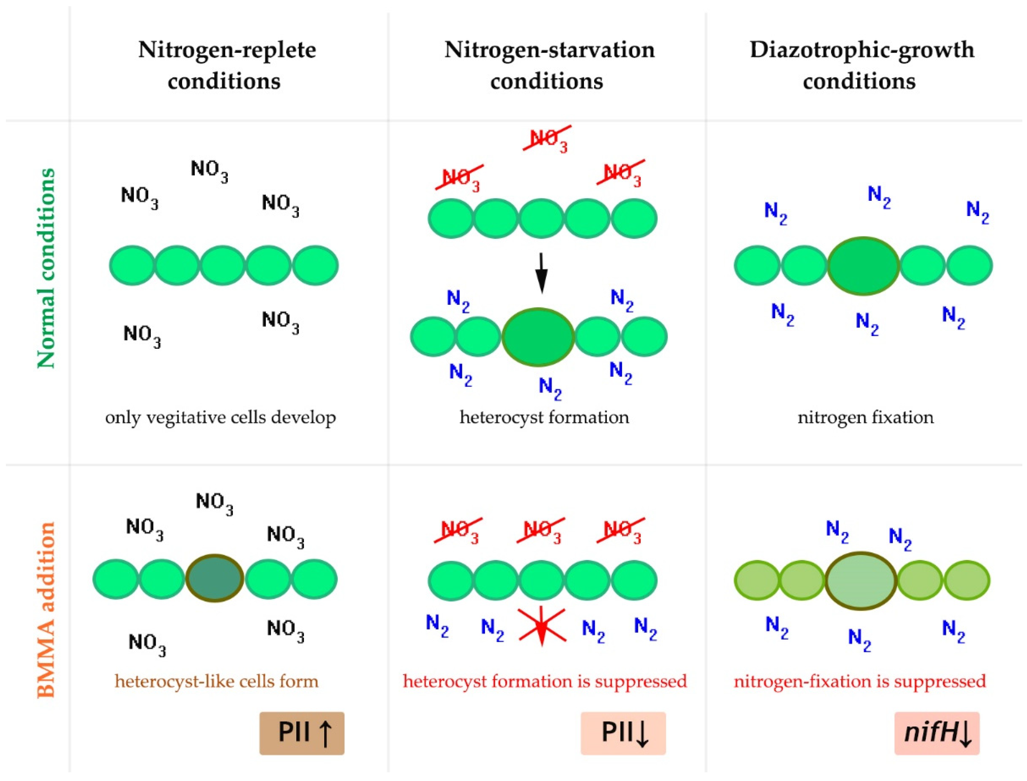 Toxins 14 00539 g004