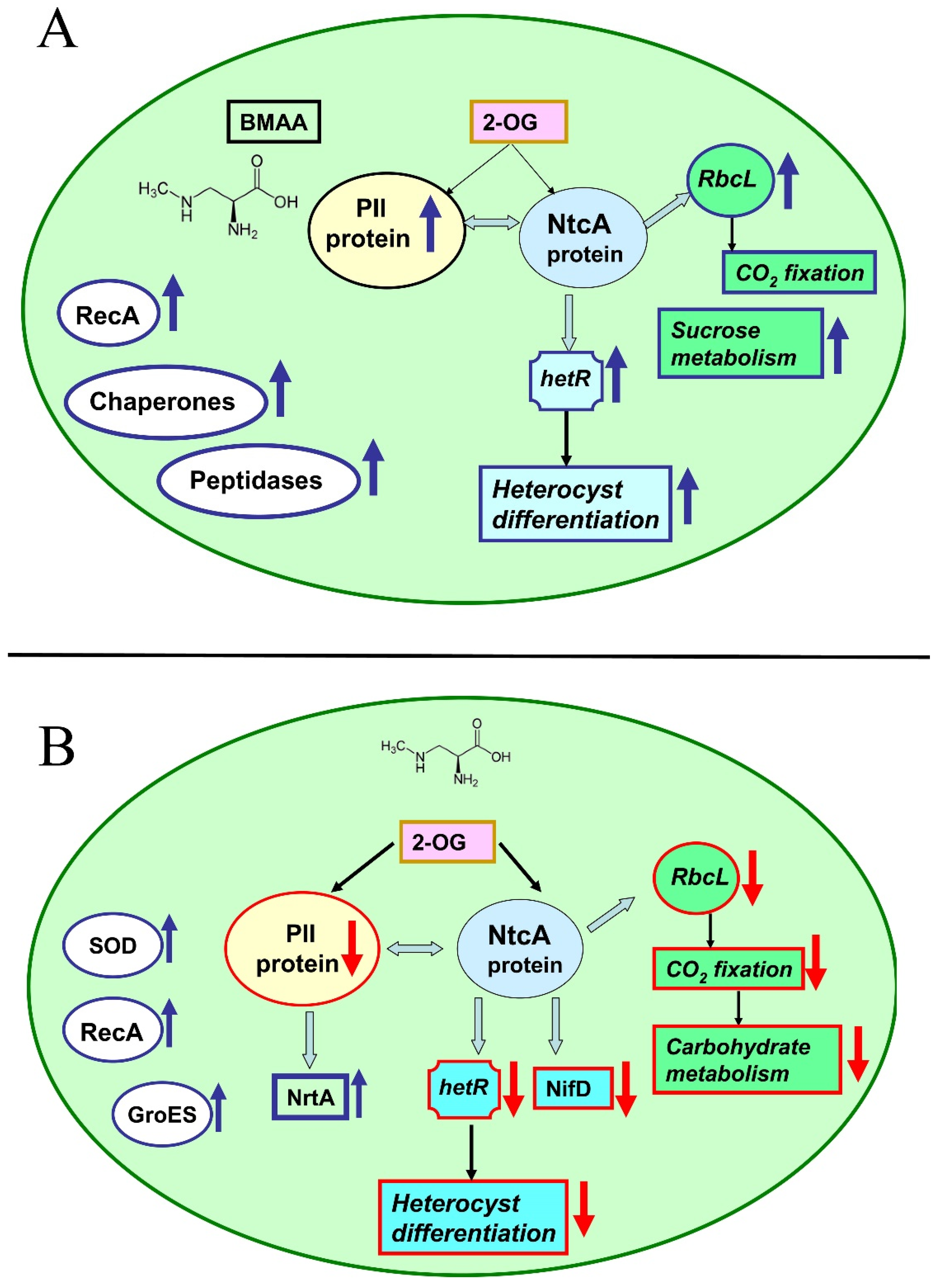 Toxins 14 00539 g005