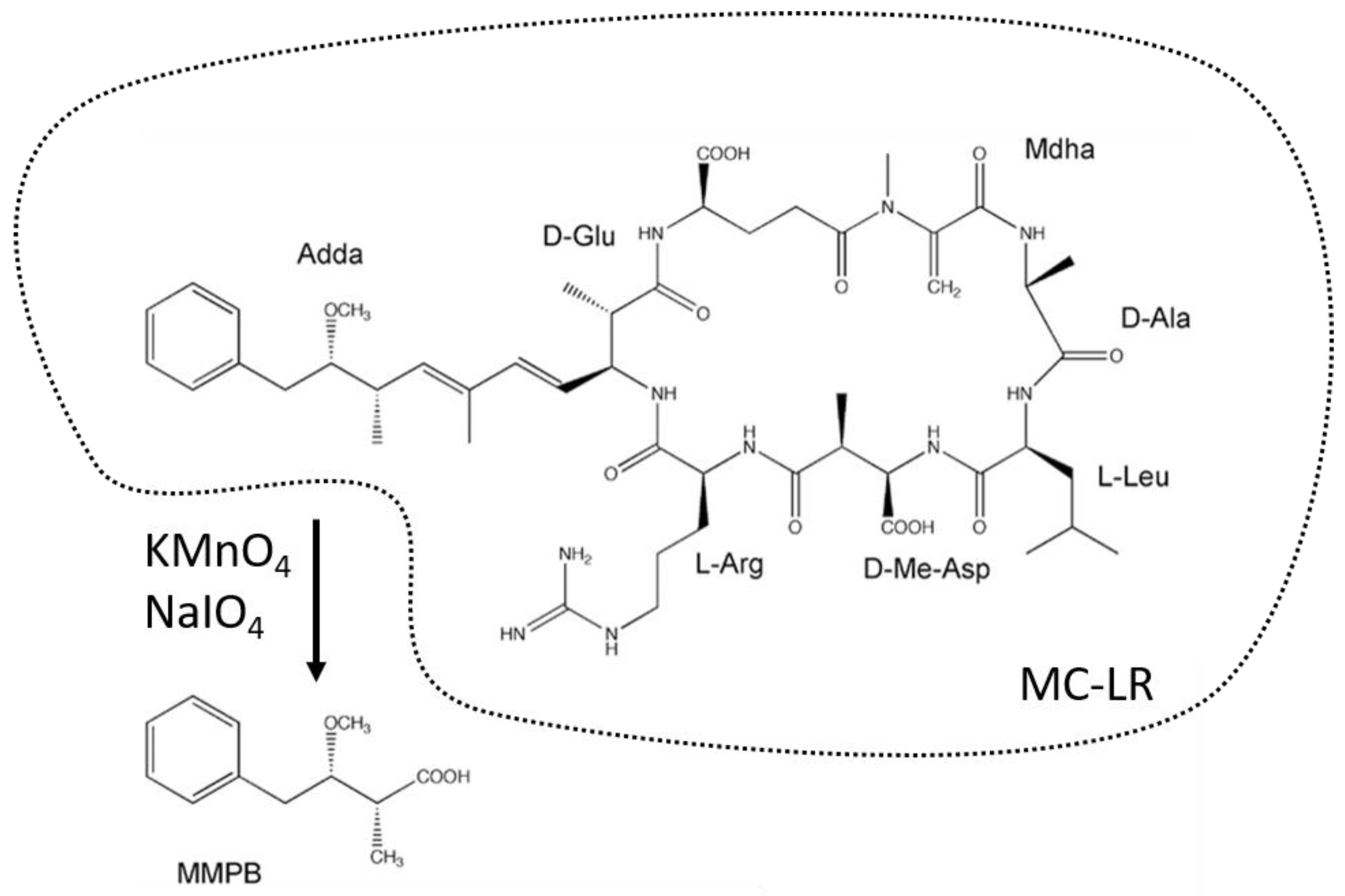 Toxins 14 00550 g002 550
