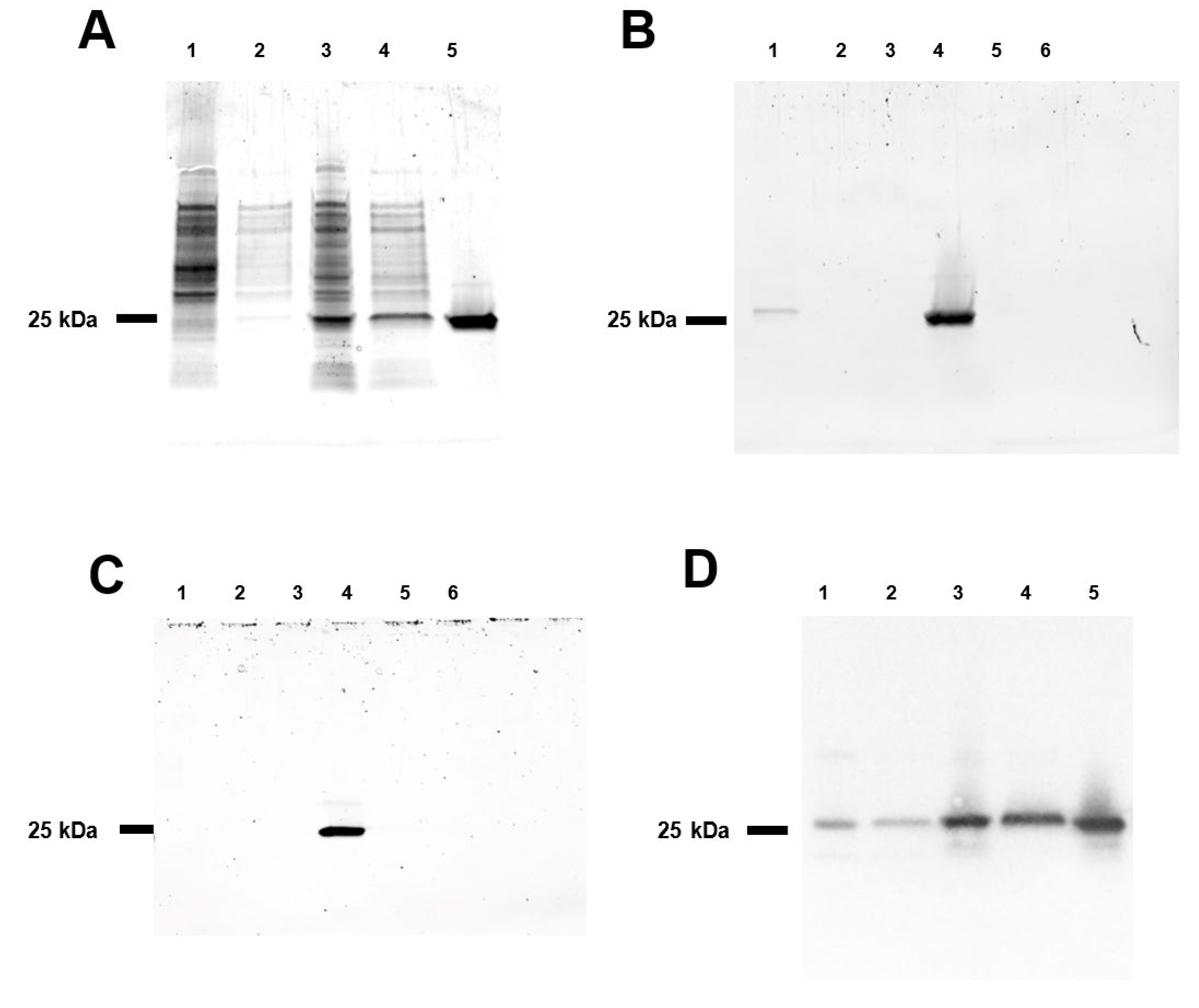 Toxins 14 00554 g001