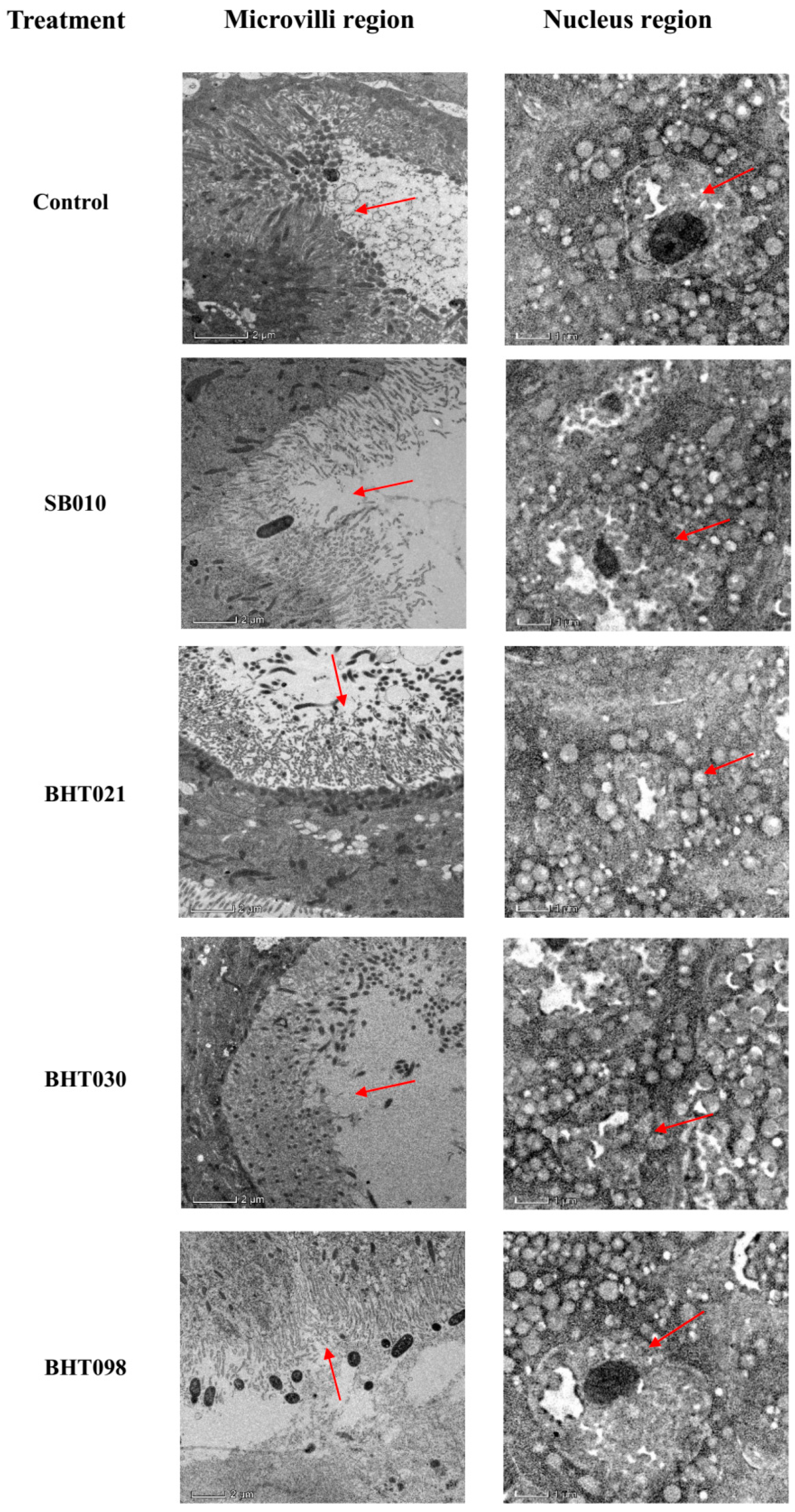 Toxins 14 00555 g005