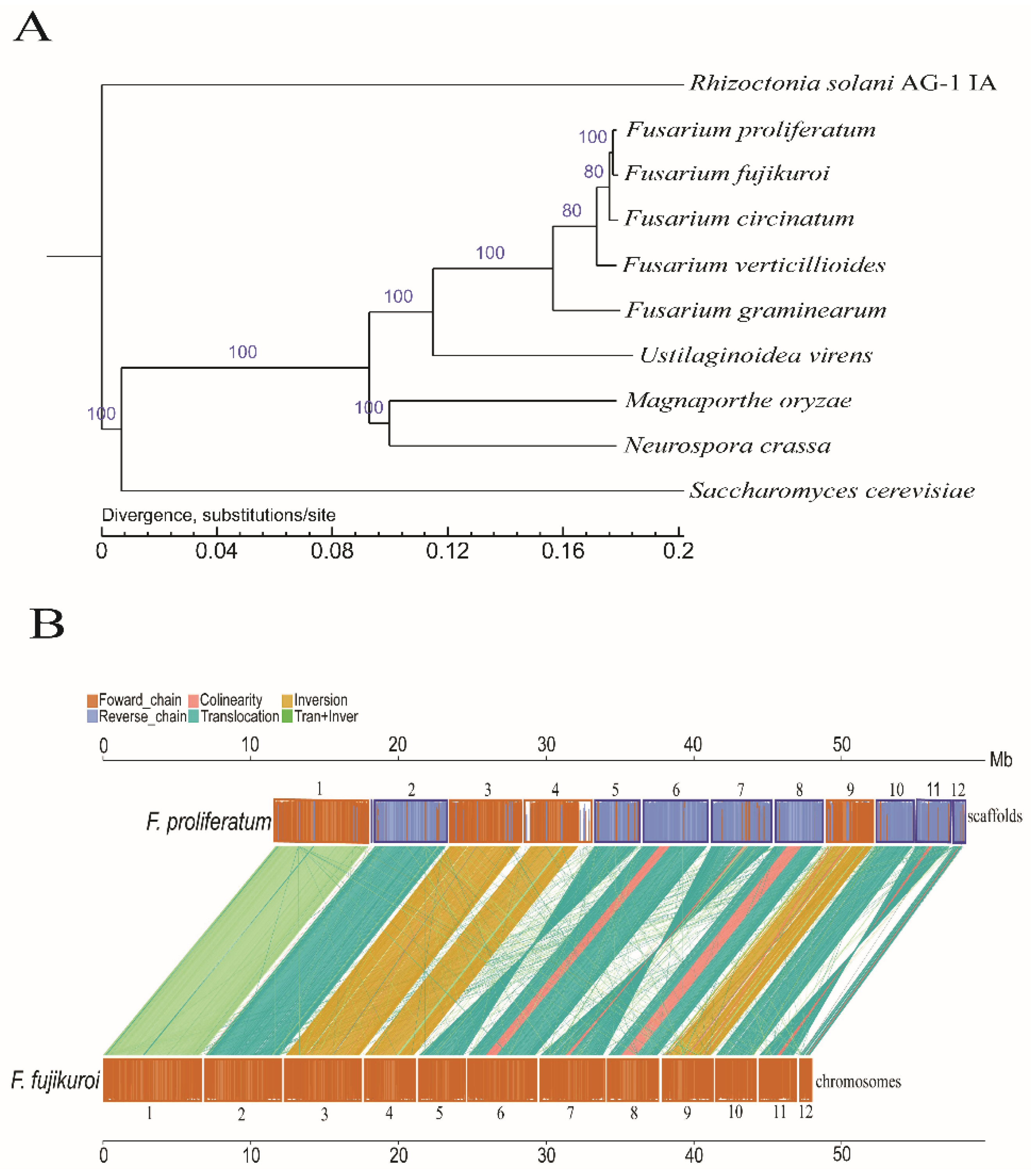 Toxins 14 00568 g002 550