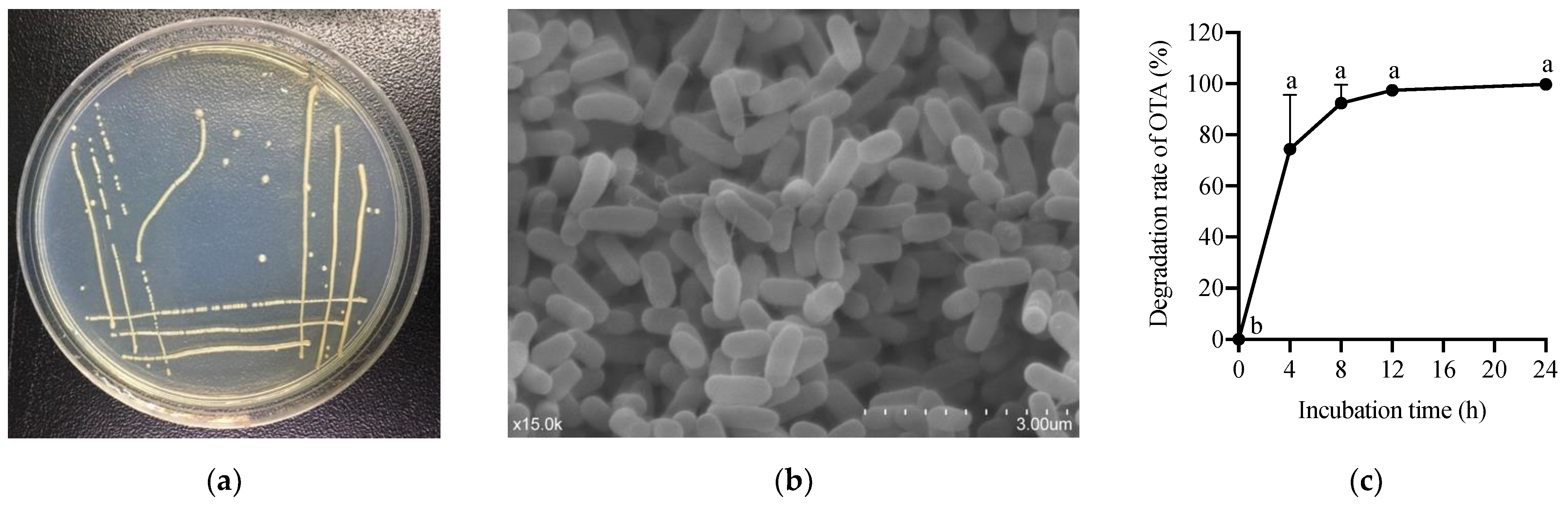 Toxins 14 00569 g001