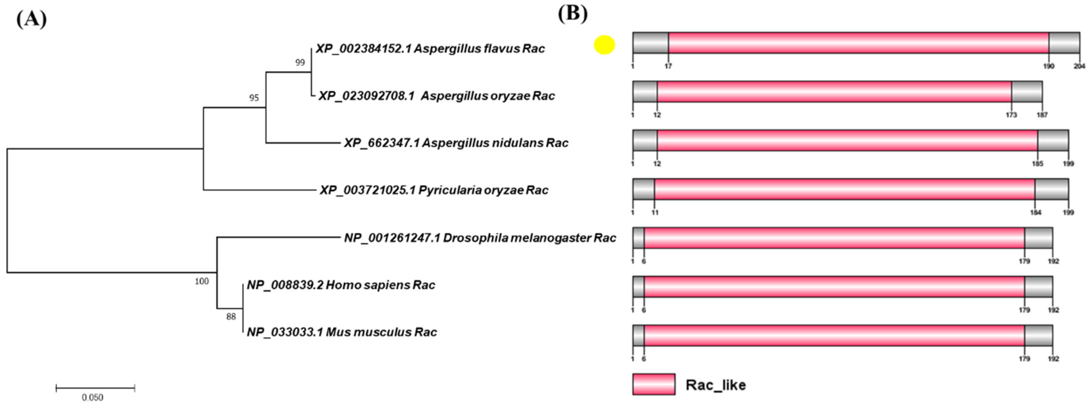 Toxins 14 00581 g001 550