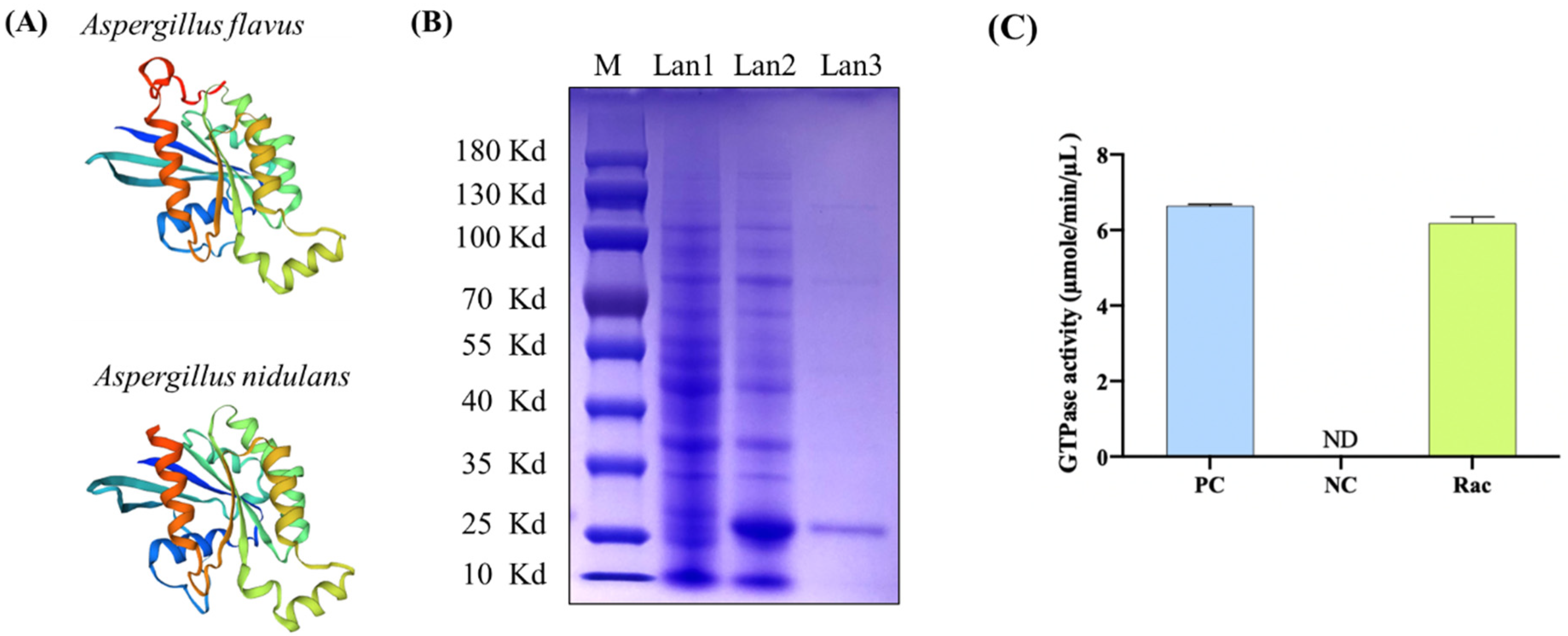 Toxins 14 00581 g002 550