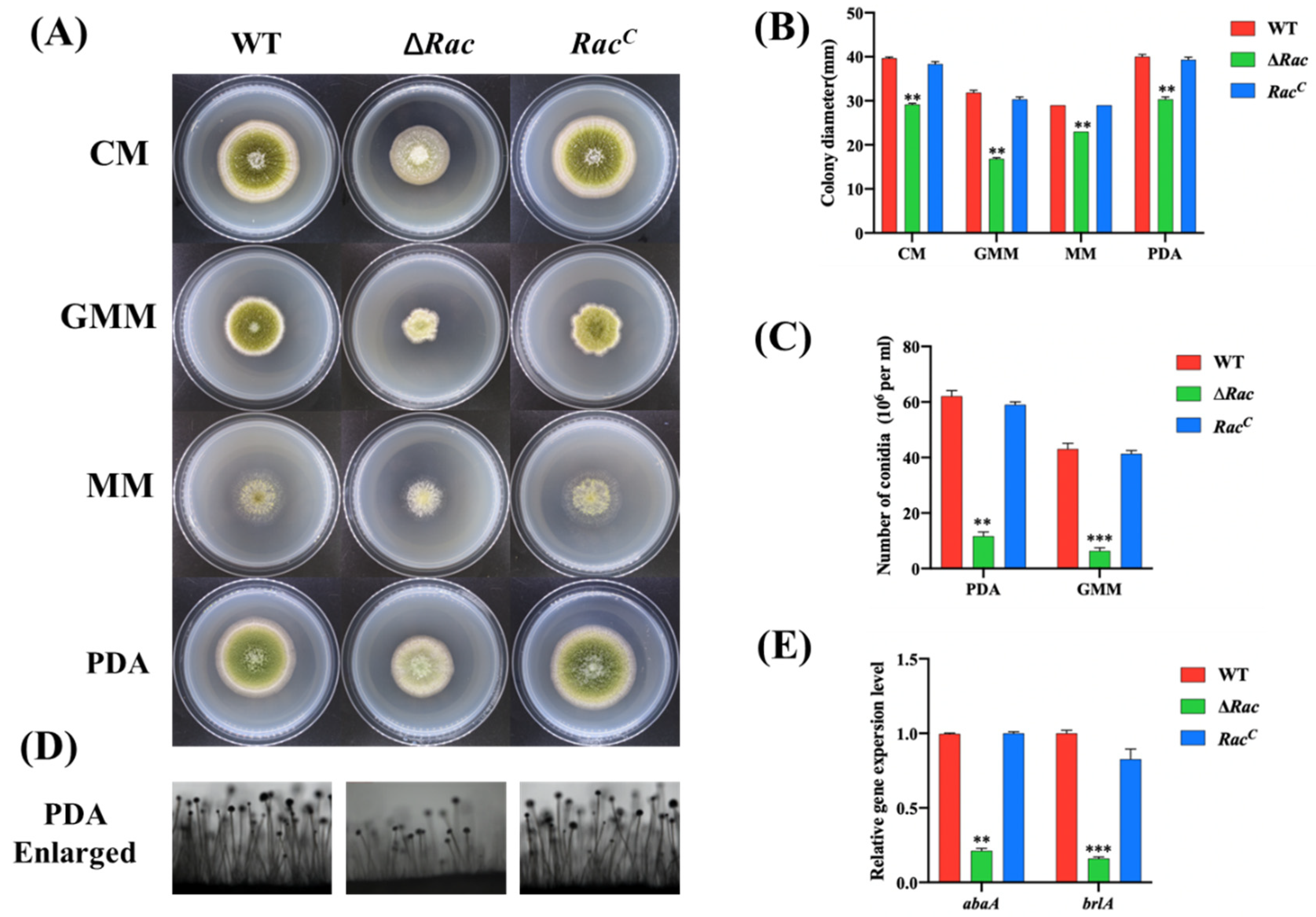 Toxins 14 00581 g004 550