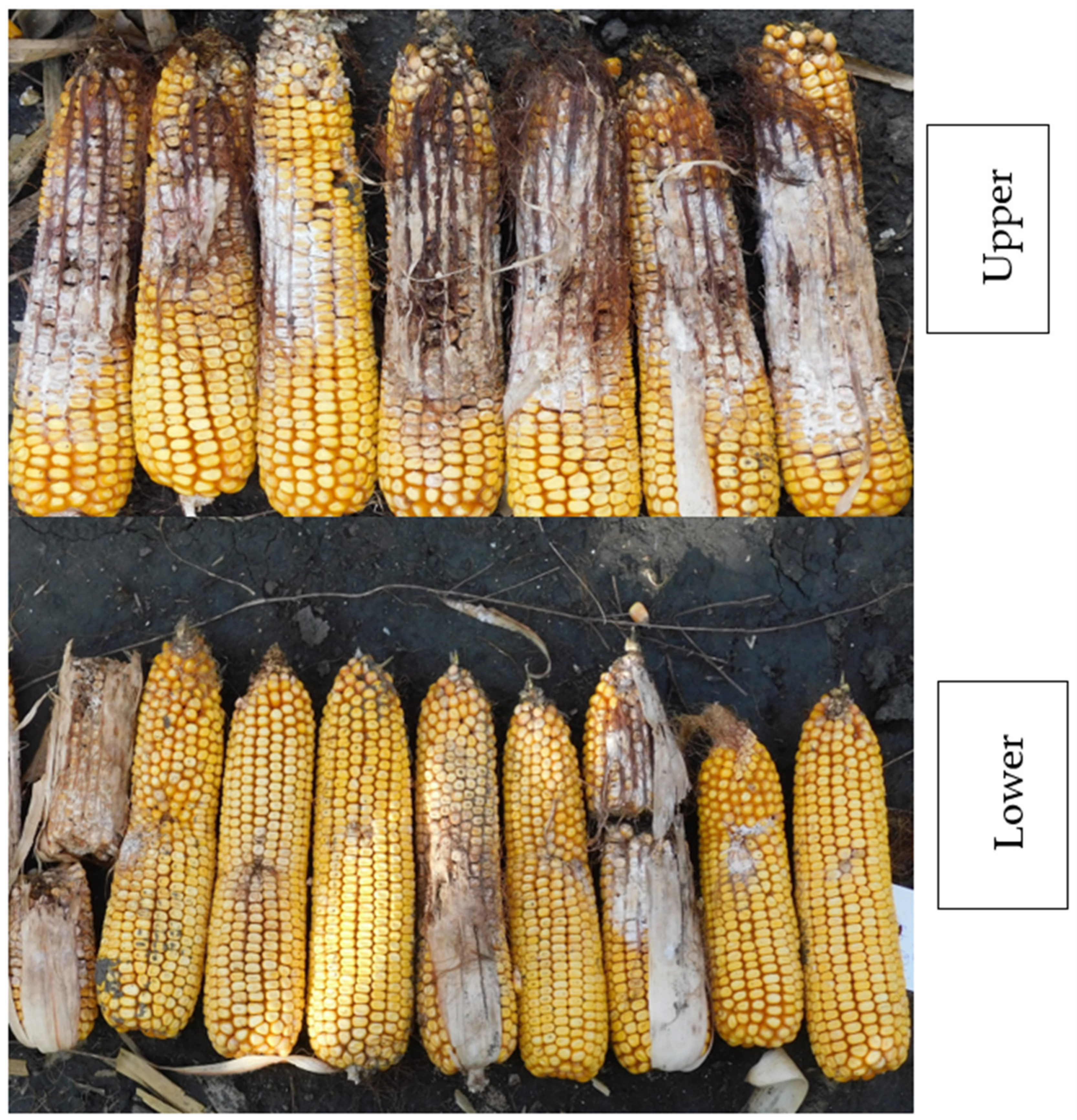 Toxins 14 00583 g004 550