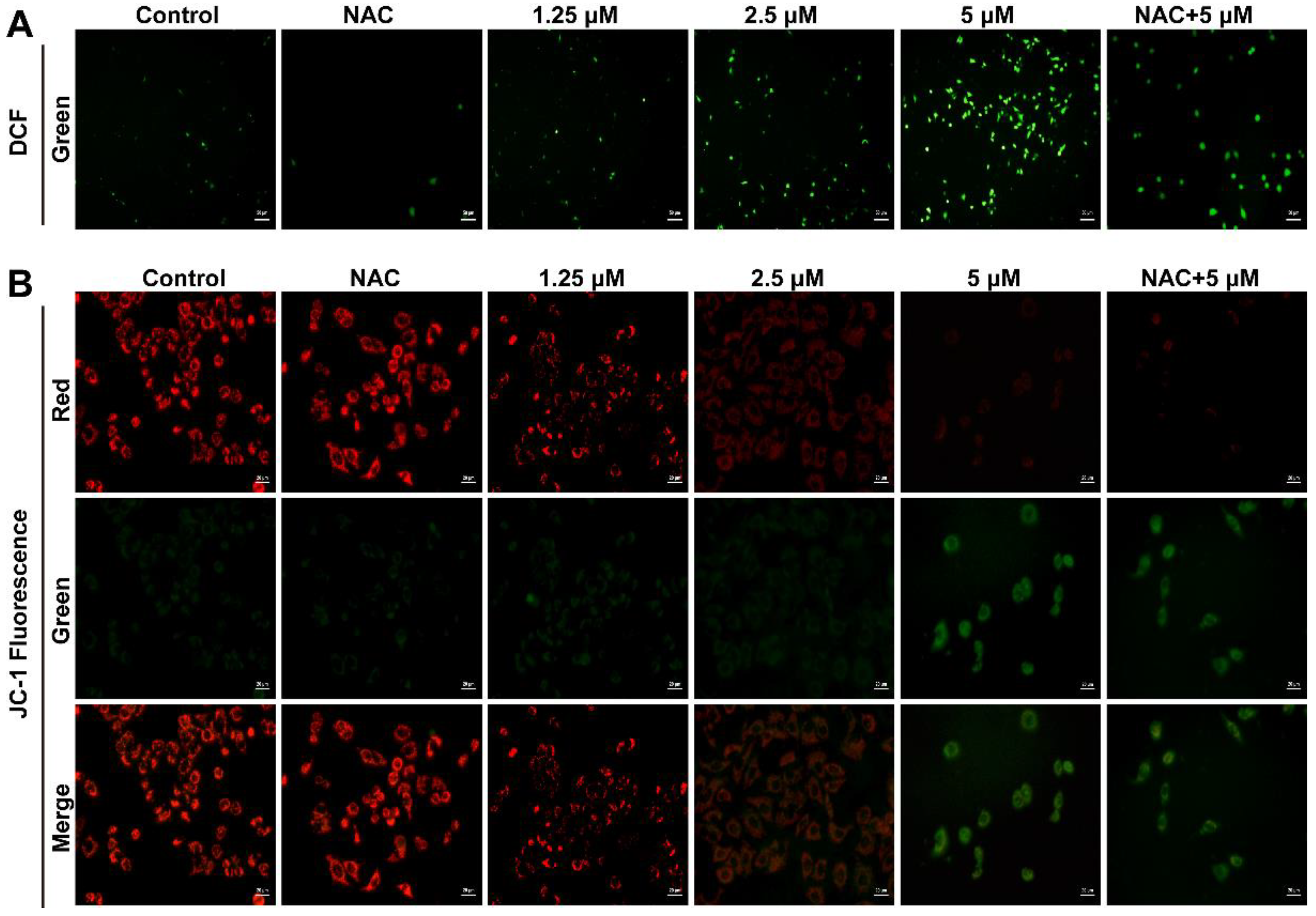 Toxins 14 00590 g003 550