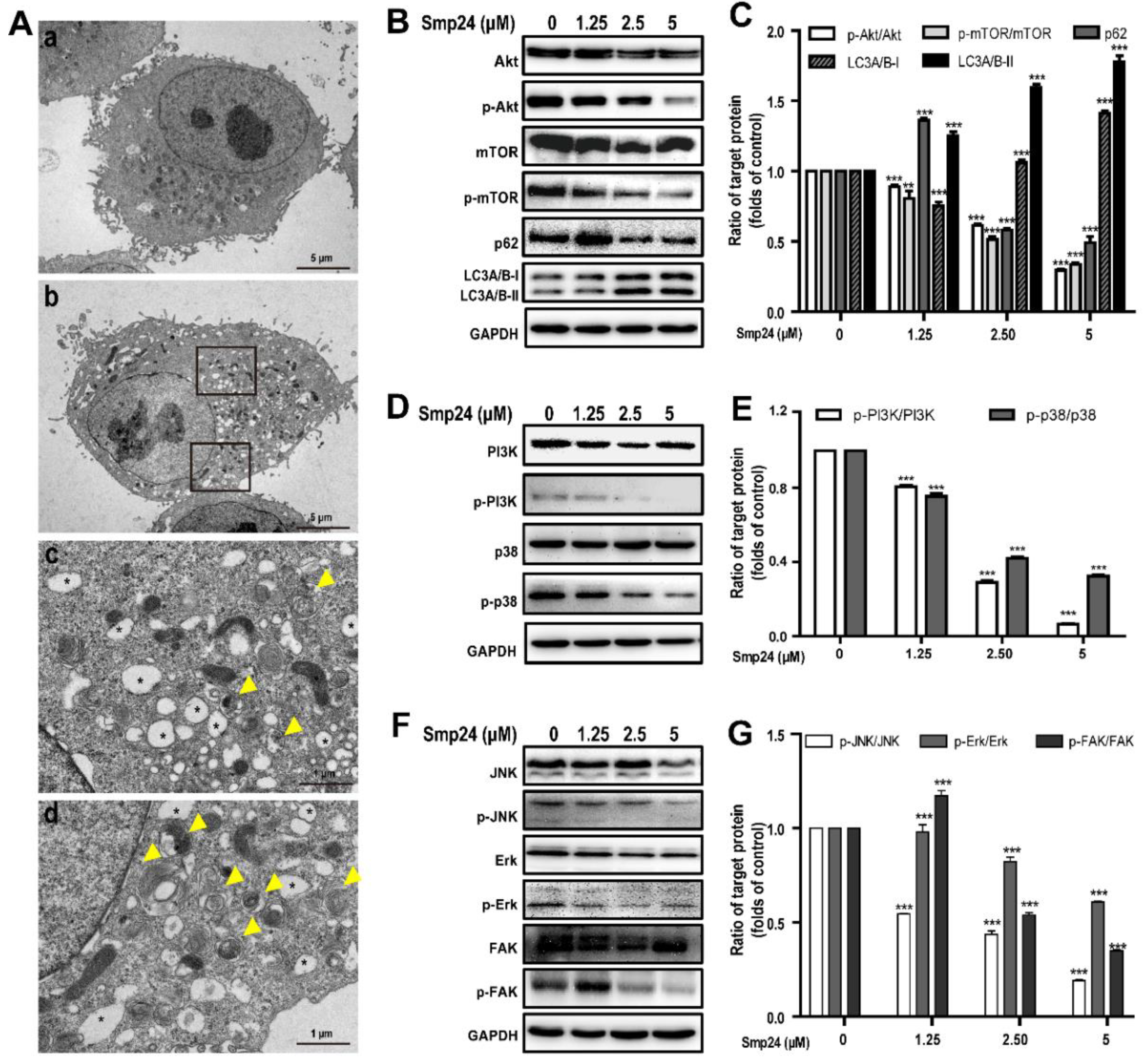 Toxins 14 00590 g006 550