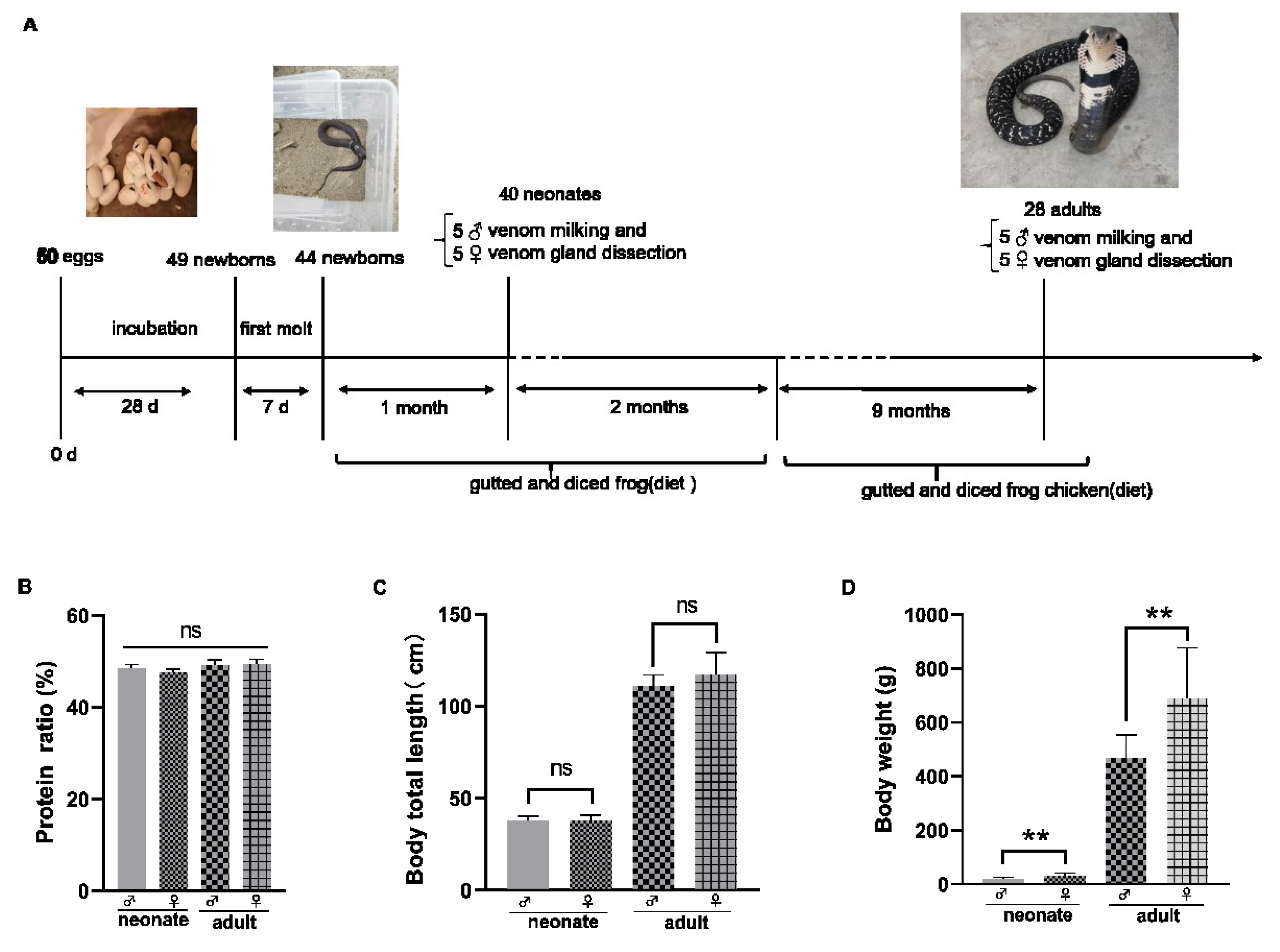 Toxins 14 00598 g002 550