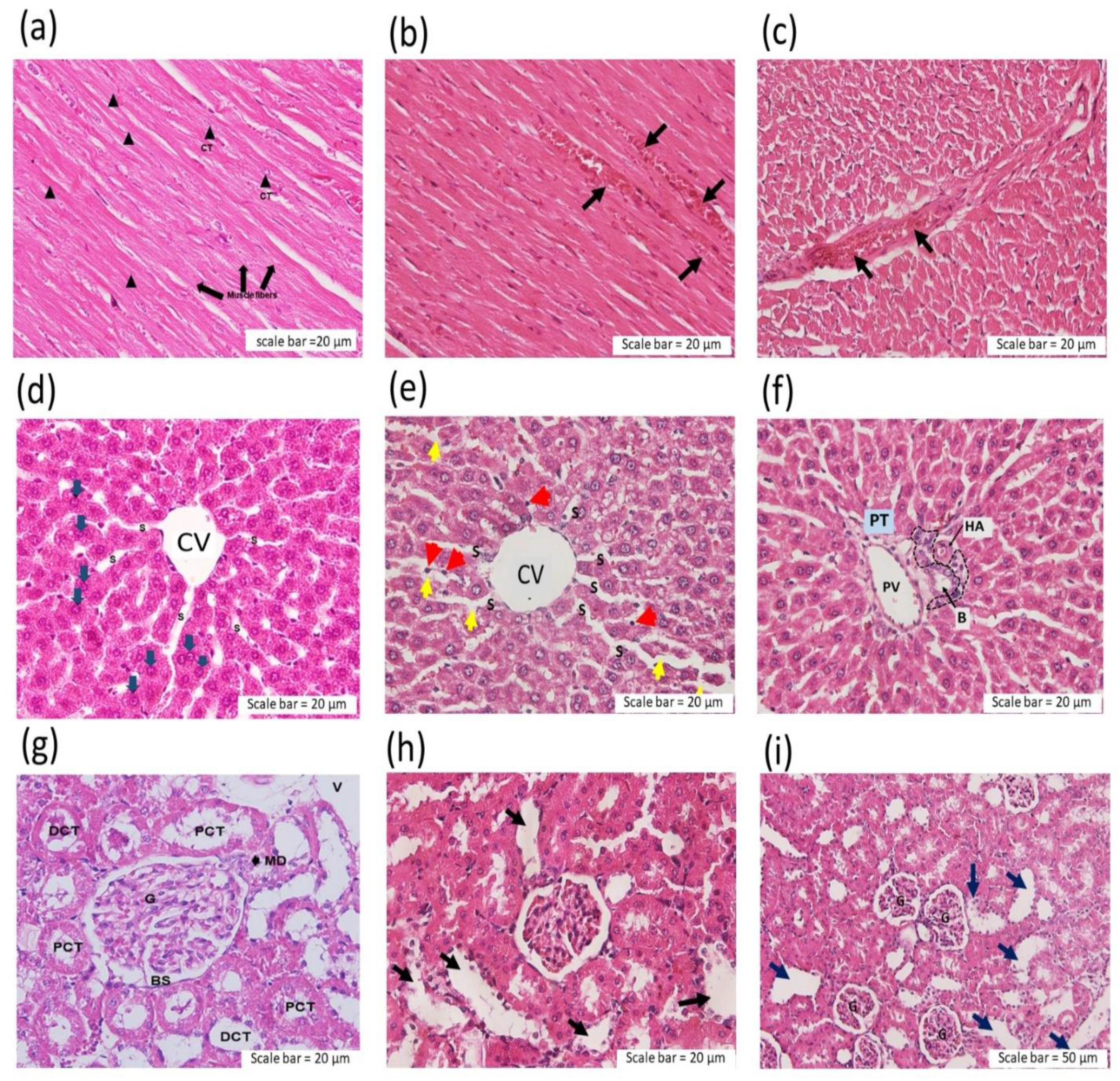 Toxins 14 00601 g003