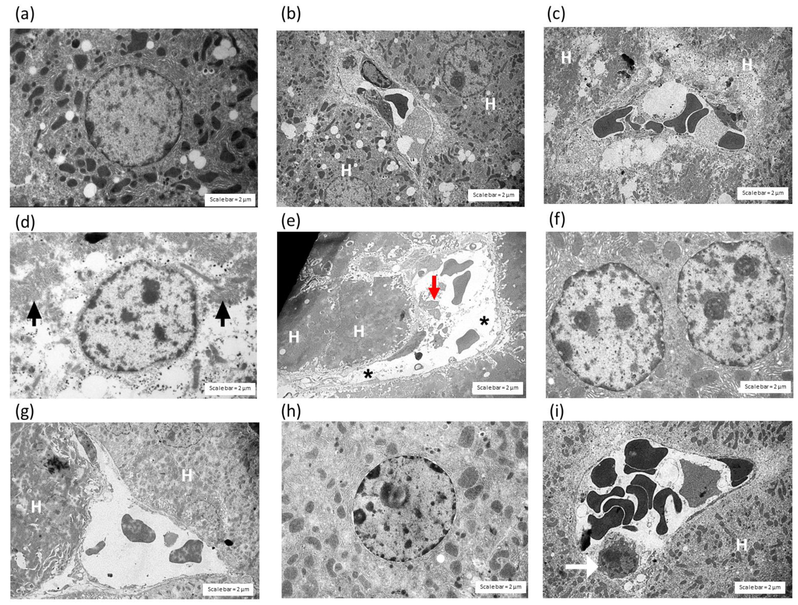Toxins 14 00601 g005