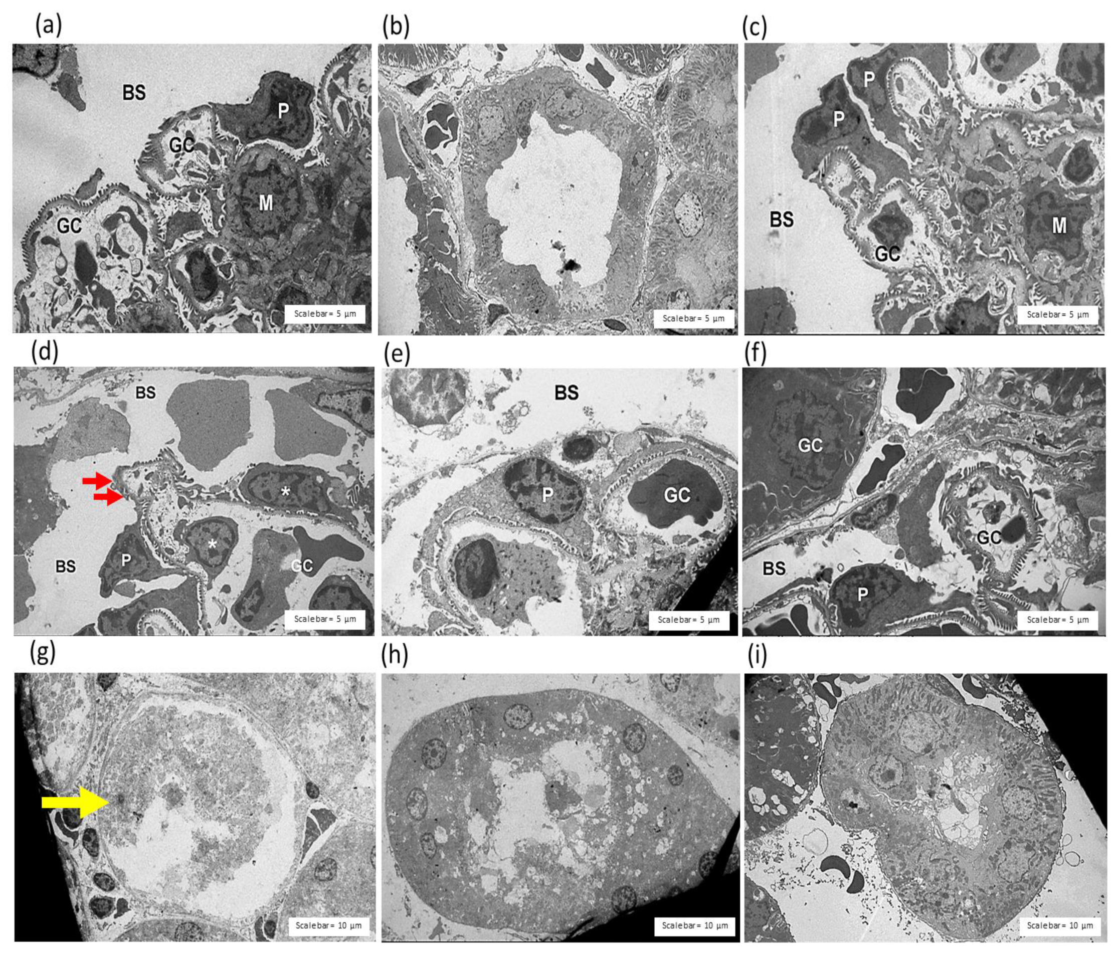 Toxins 14 00601 g008