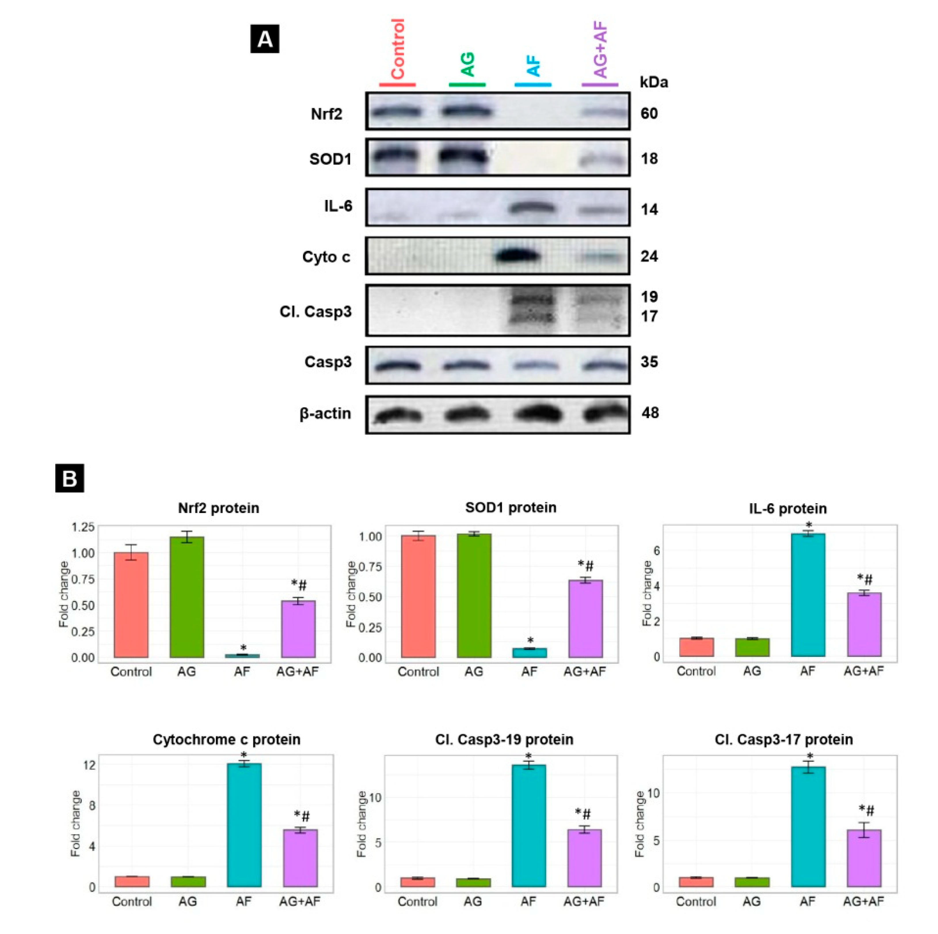 Arabic Gum Could Alleviate the Aflatoxin B1-provoked Hepatic