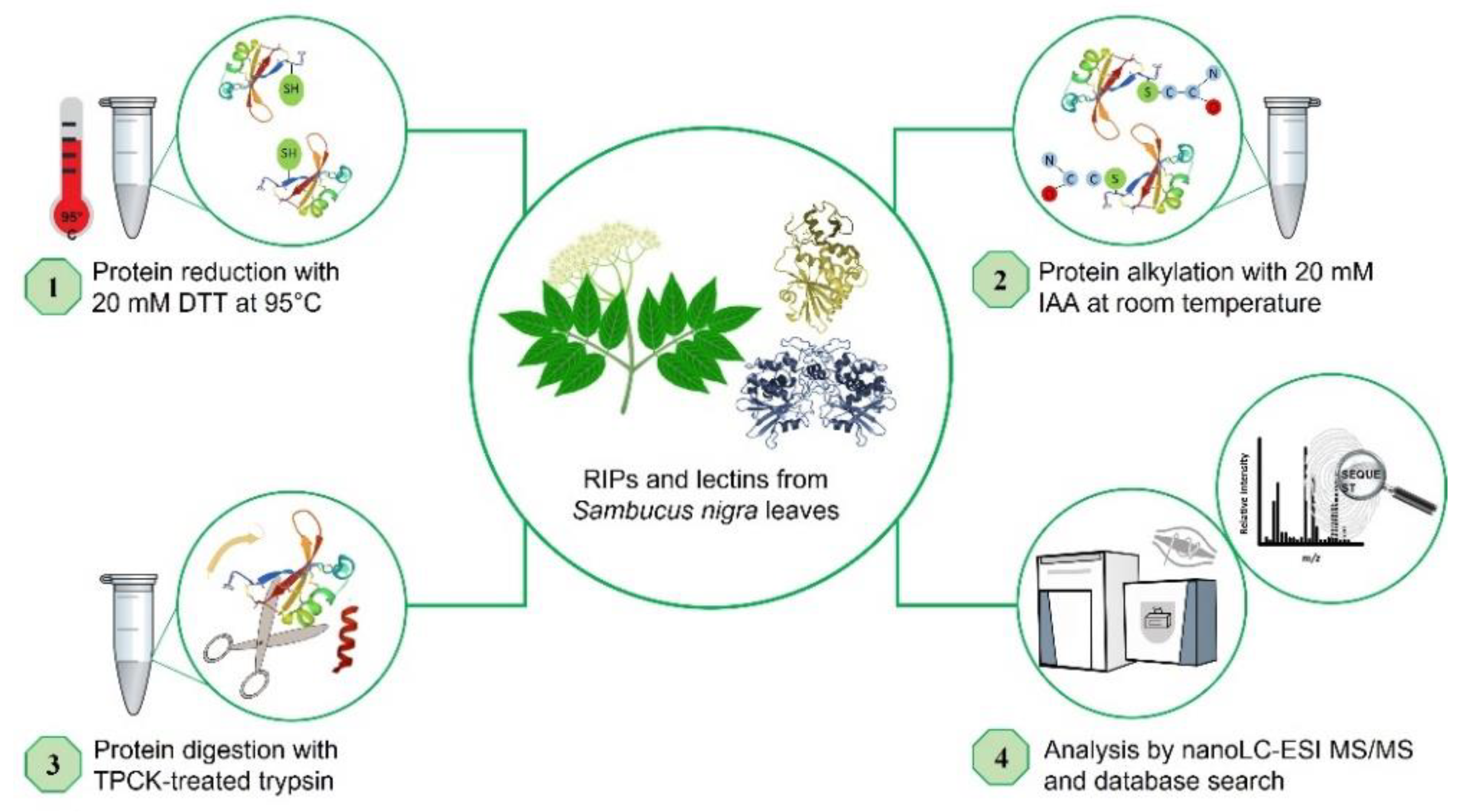 Toxins 14 00611 g006 550