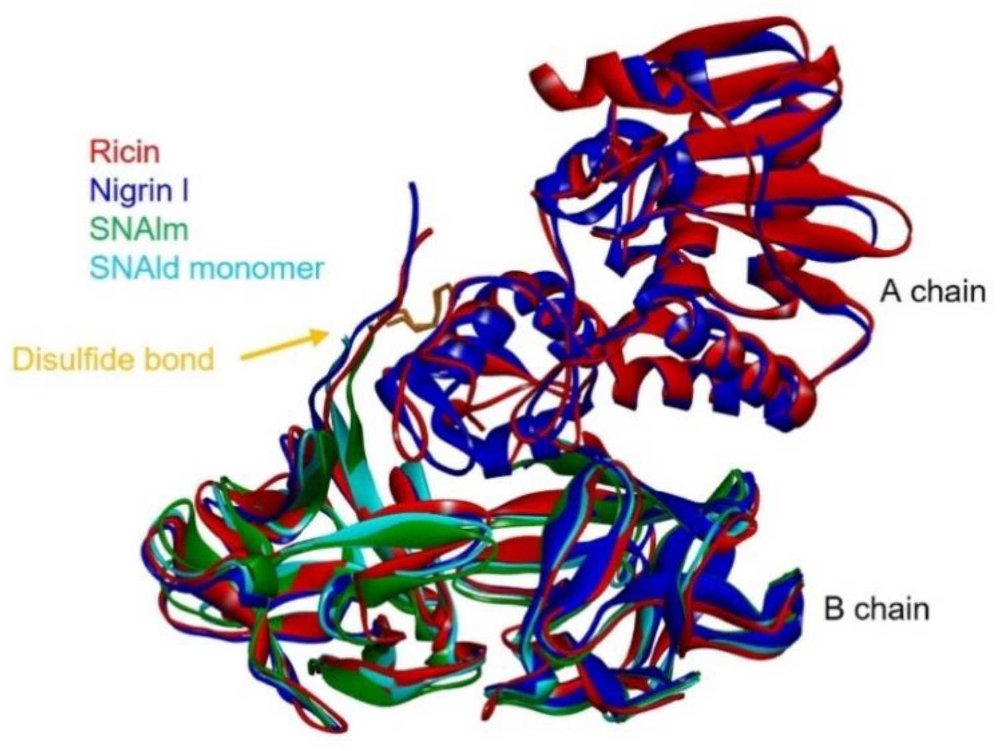 Toxins 14 00611 g008 550