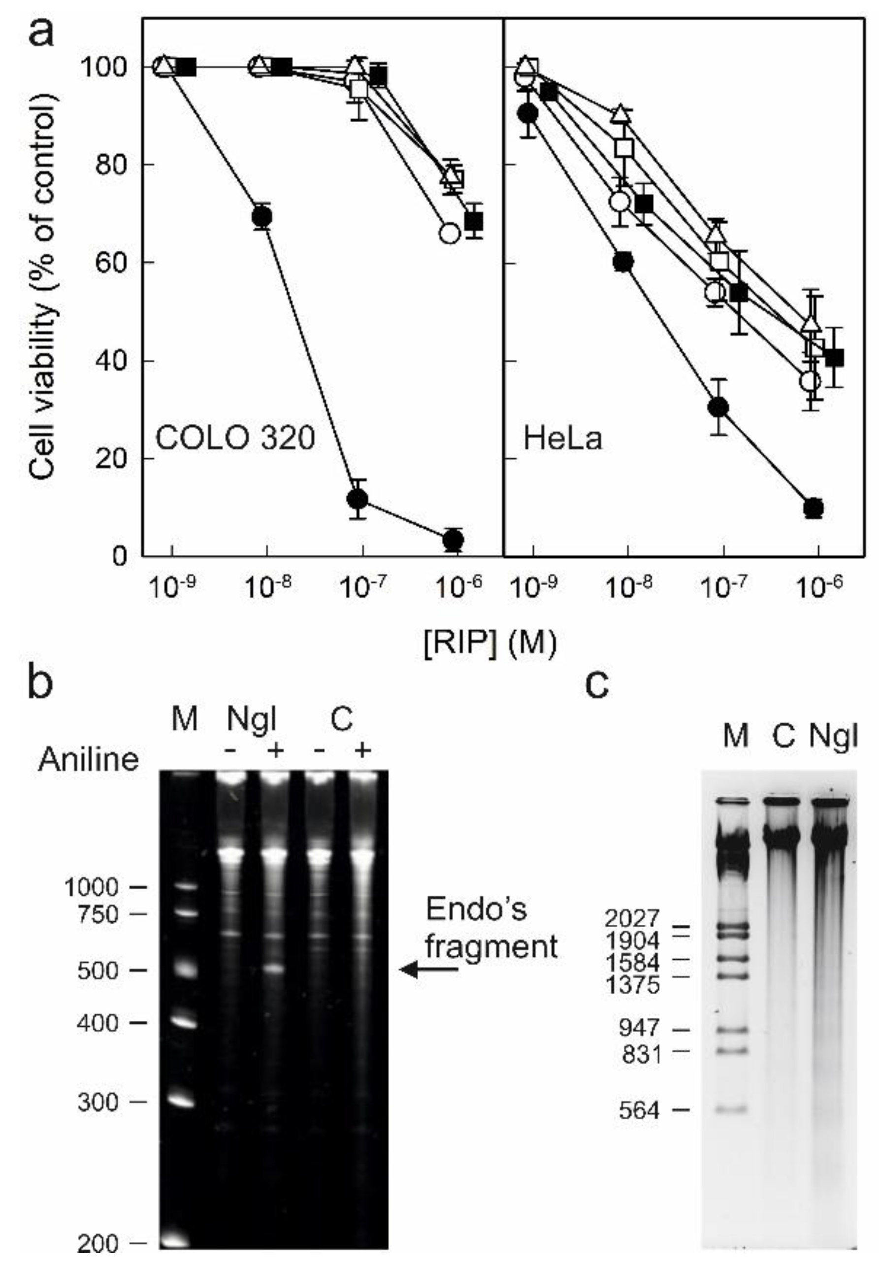 Toxins 14 00611 g010 550