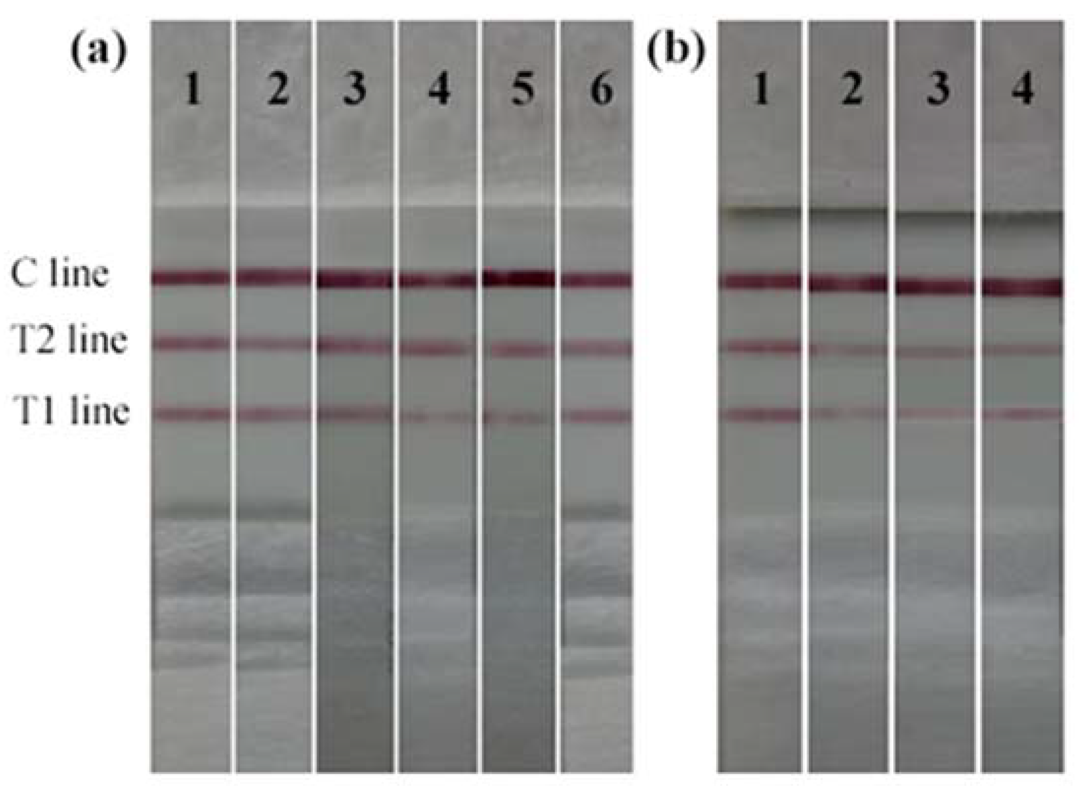 Toxins 14 00615 g007