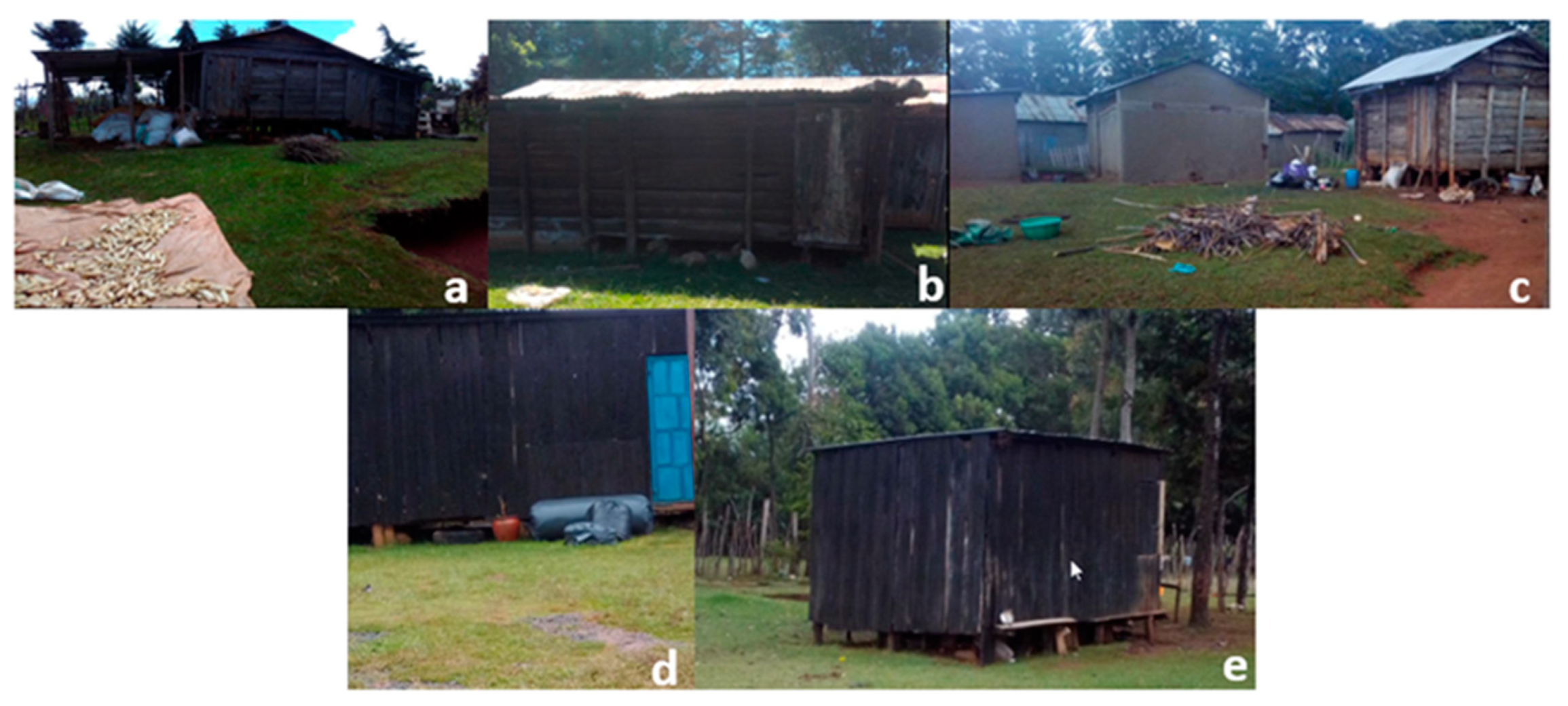 Toxins 14 00618 g005 Toxins 14 00618 g005