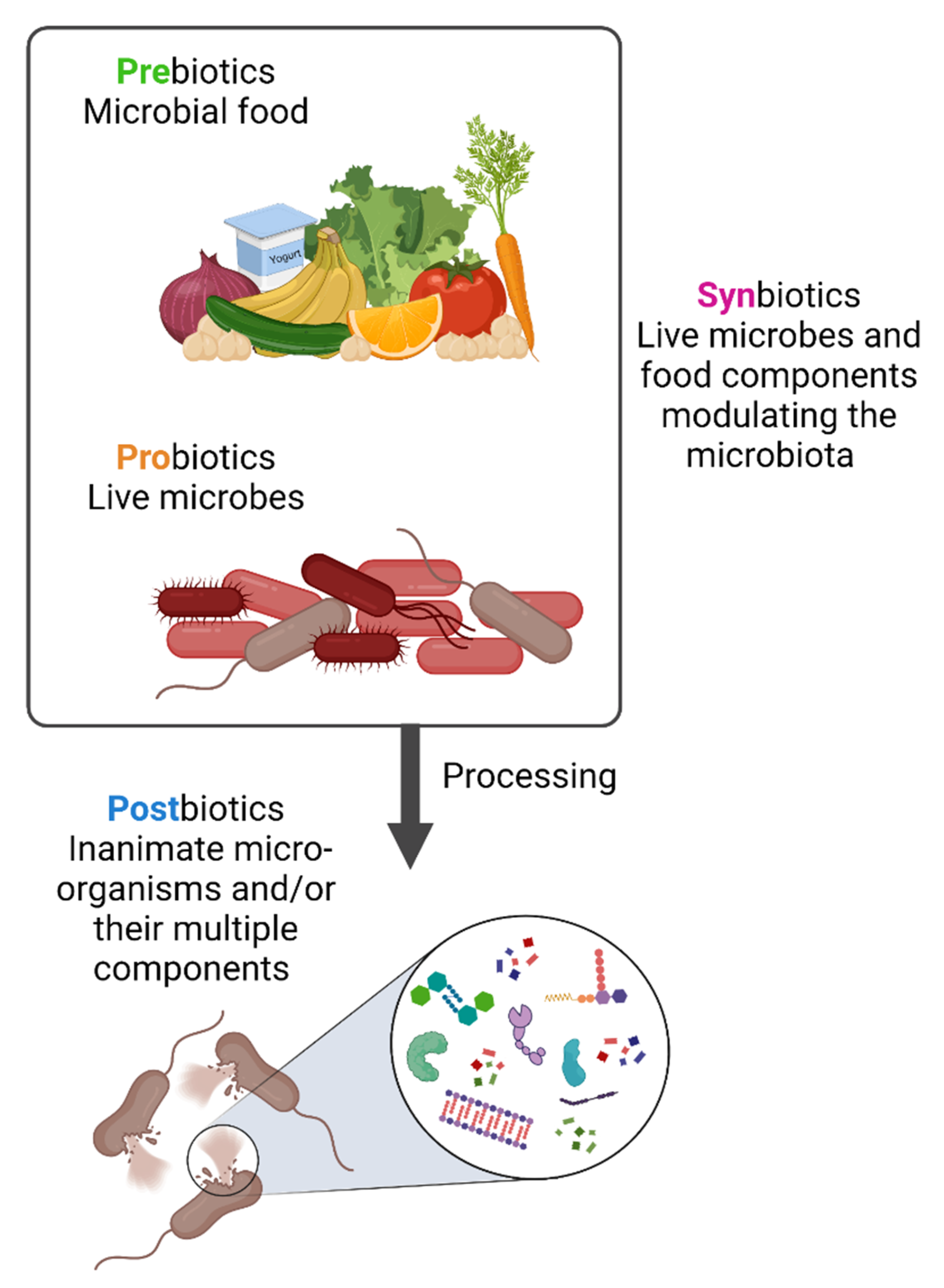 Toxins 14 00623 g001 550