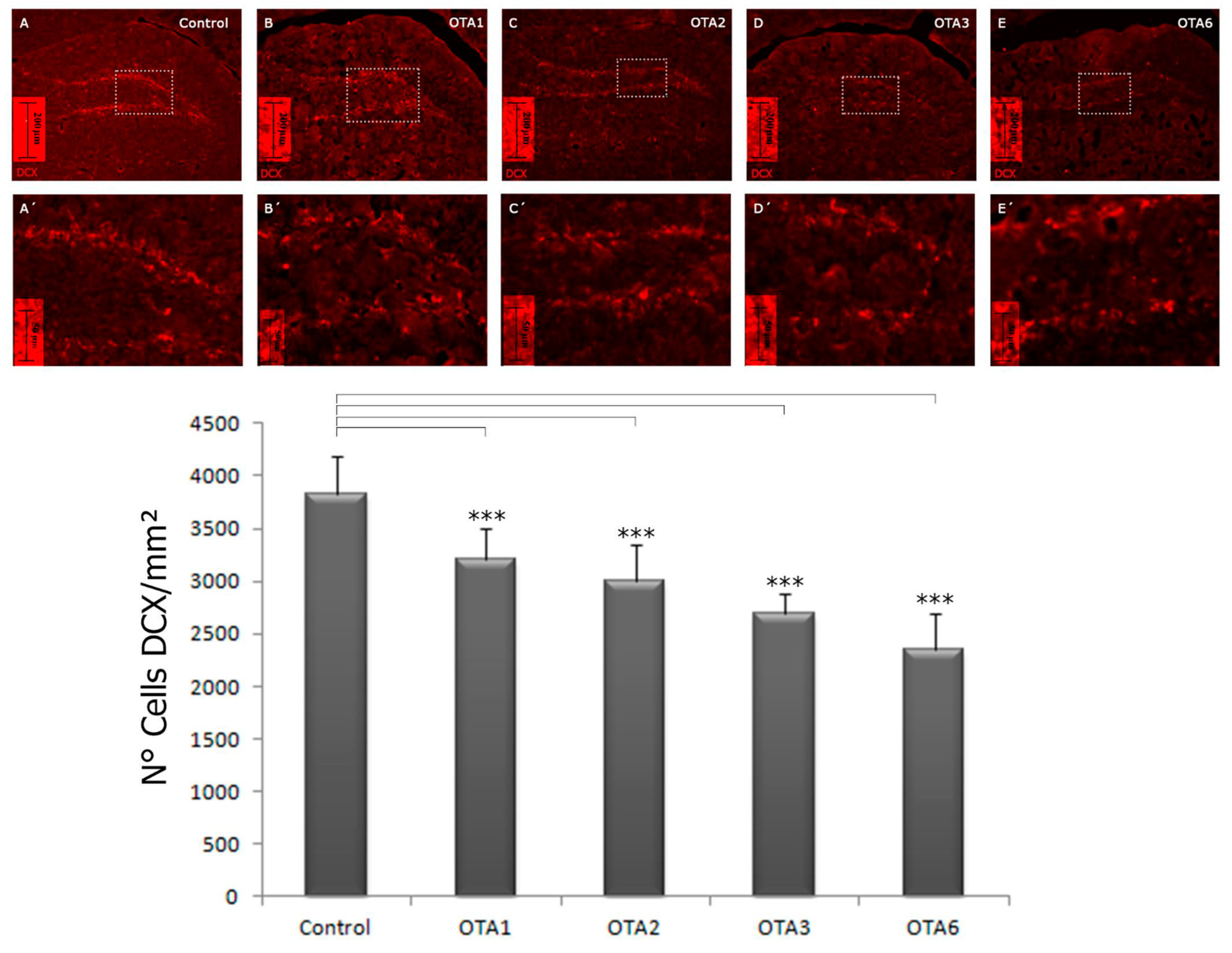 Toxins 14 00624 g005 550