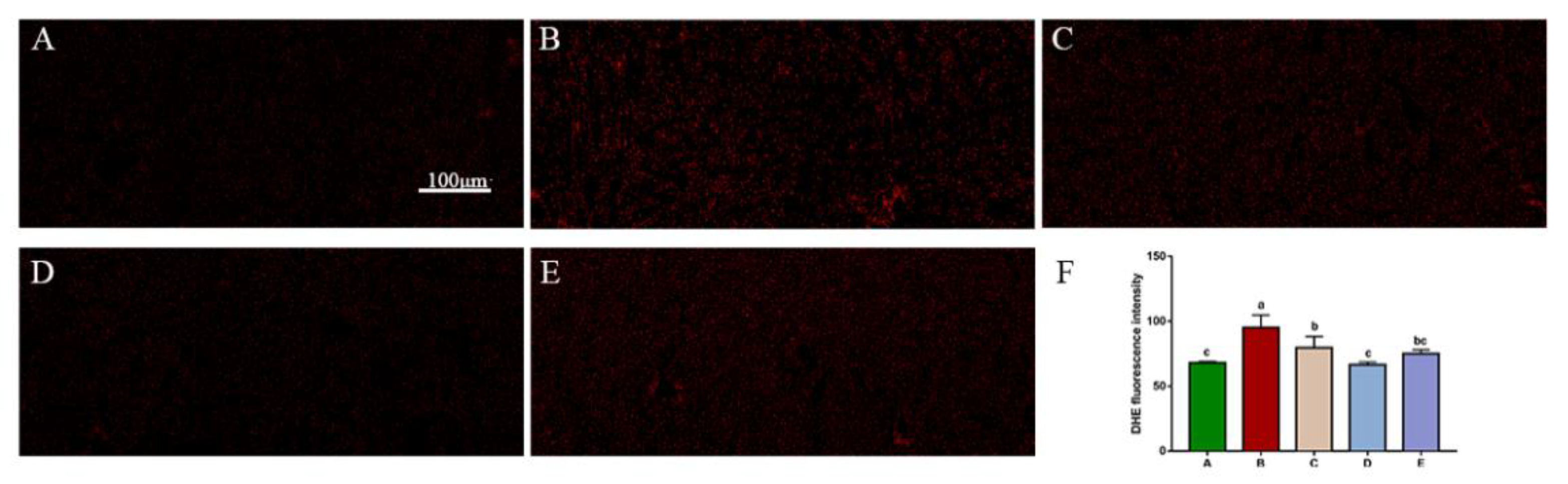 Toxins 14 00628 g005 550
