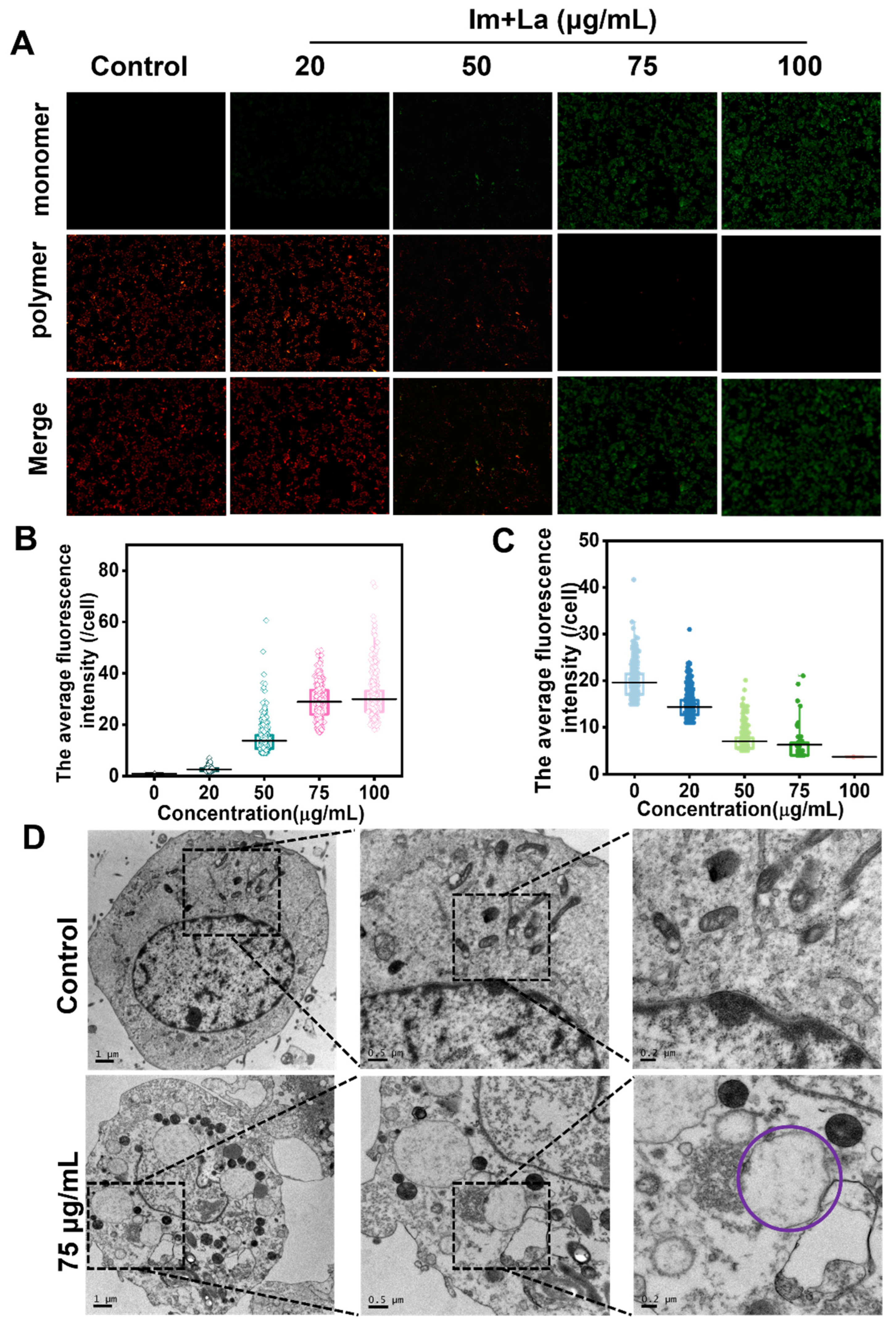 Toxins 14 00633 g006 550