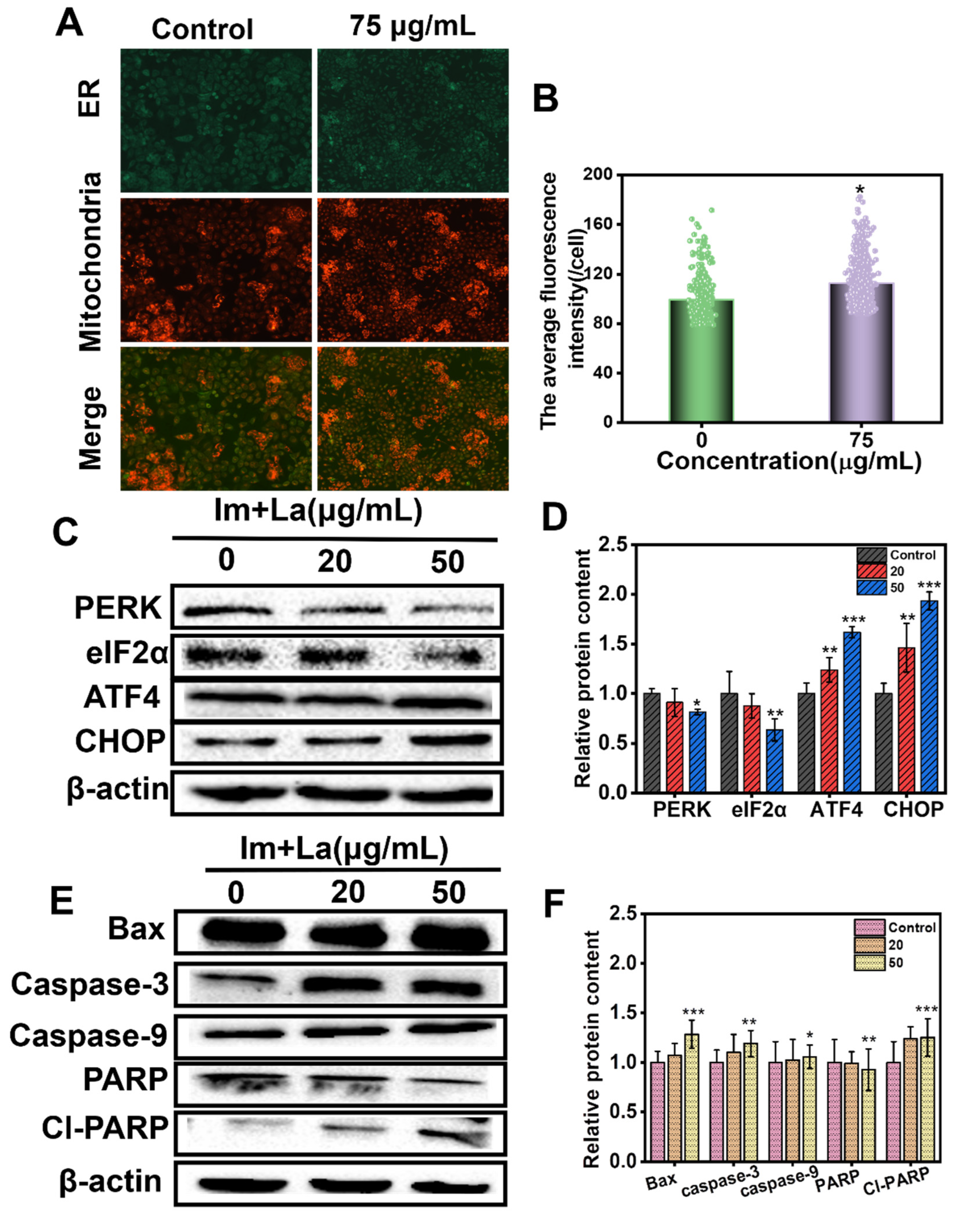 Toxins 14 00633 g007 550