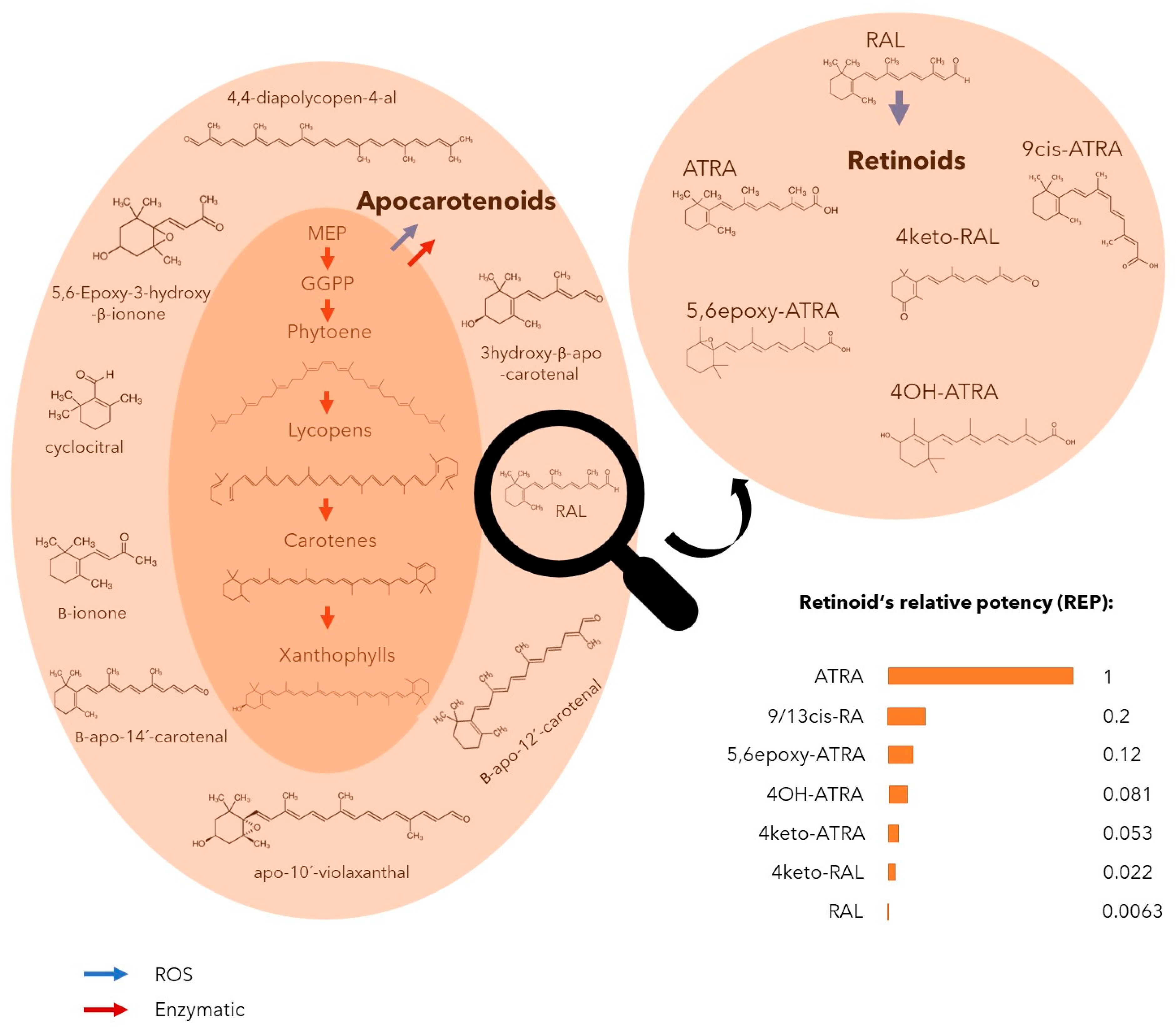 Toxins 14 00636 g005