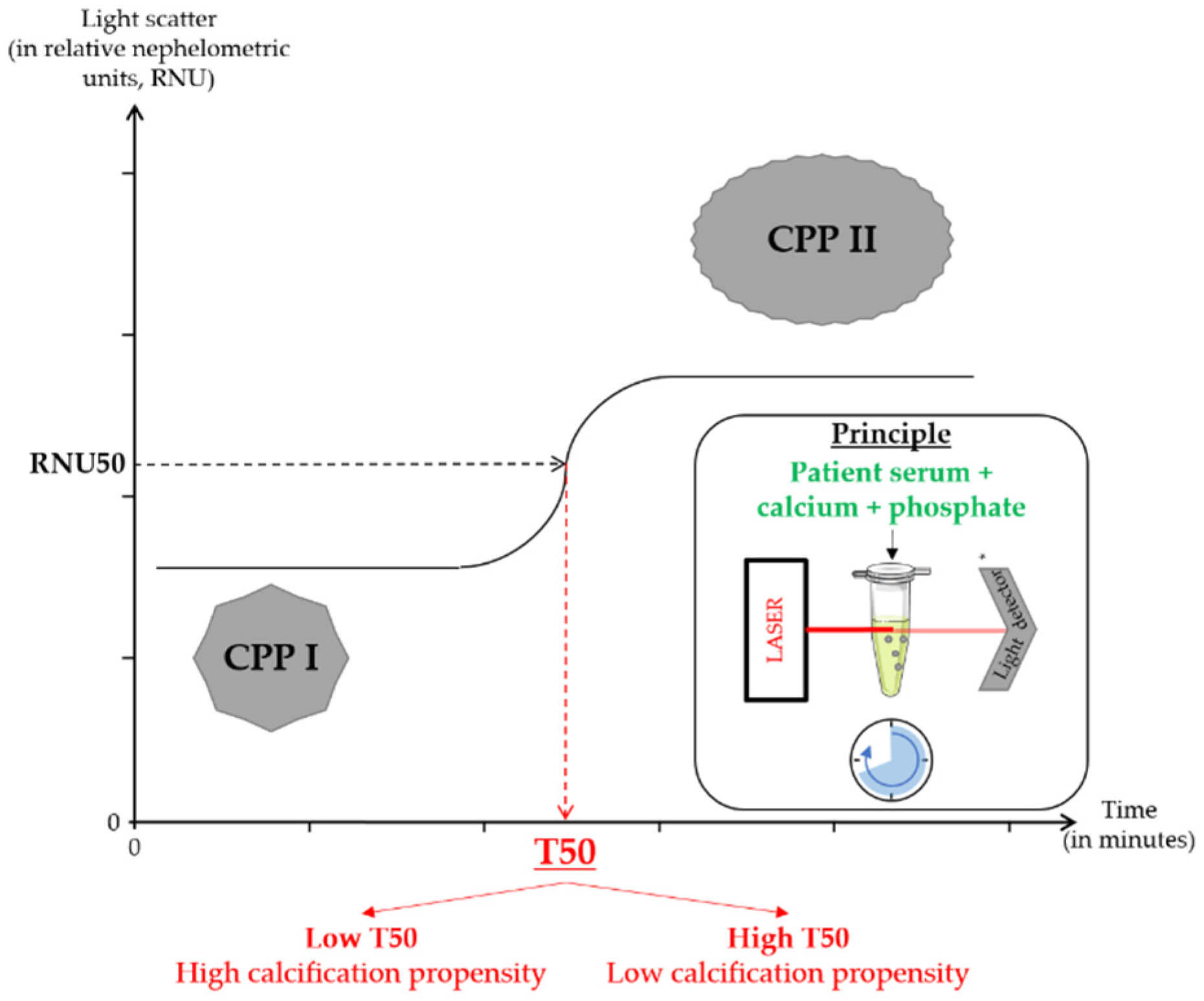 Toxins 14 00637 g001